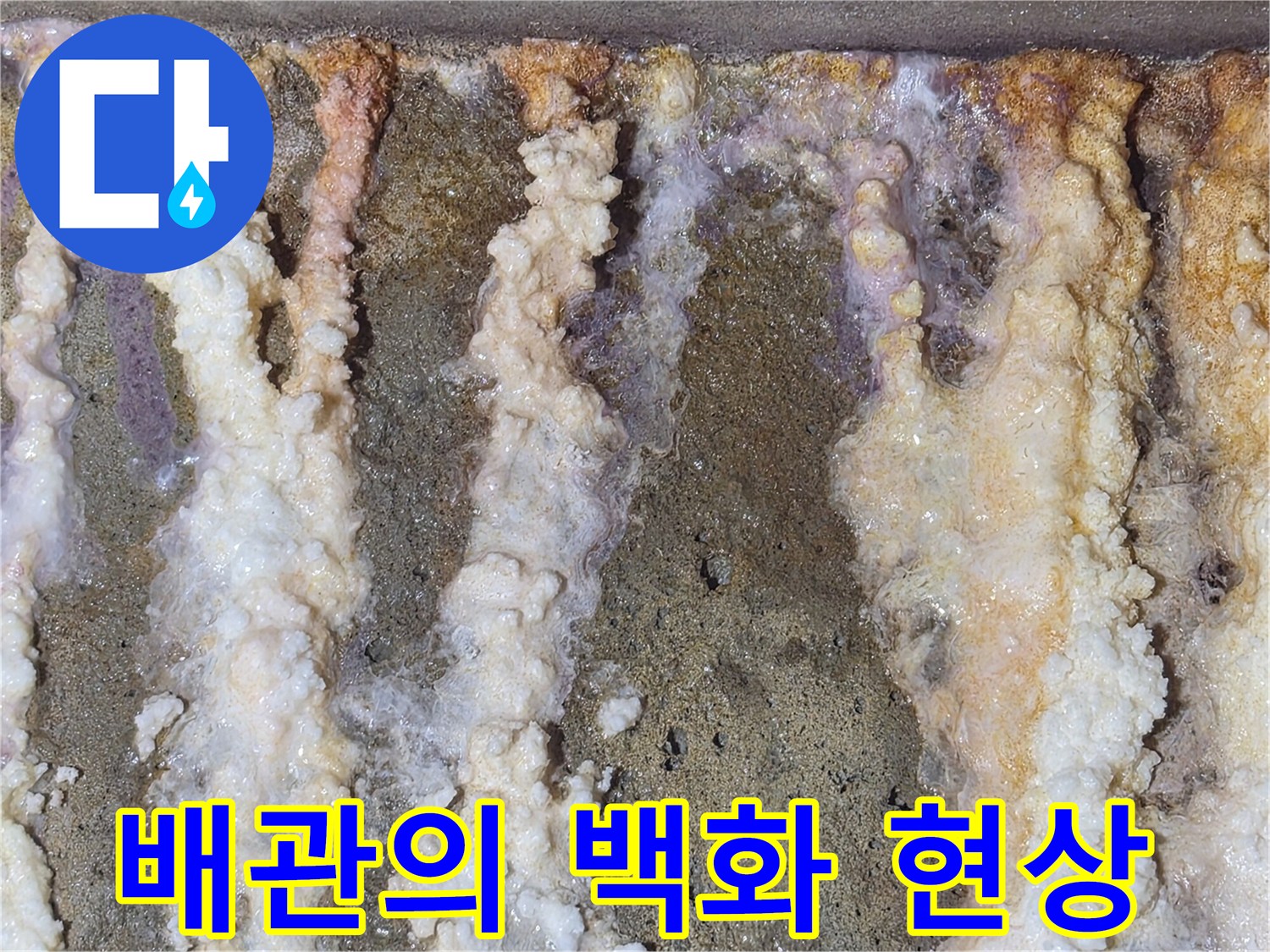 하얀색으로 변한 배관 주변-지속적인 누수 증거