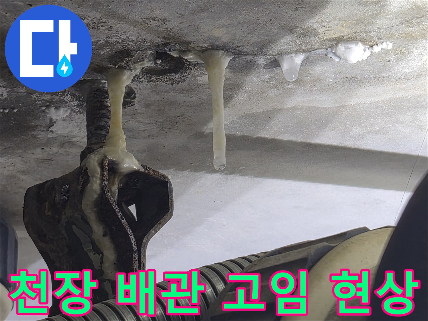 화장실-천장-내부-배관-주변의-물고임과-오염-상태
