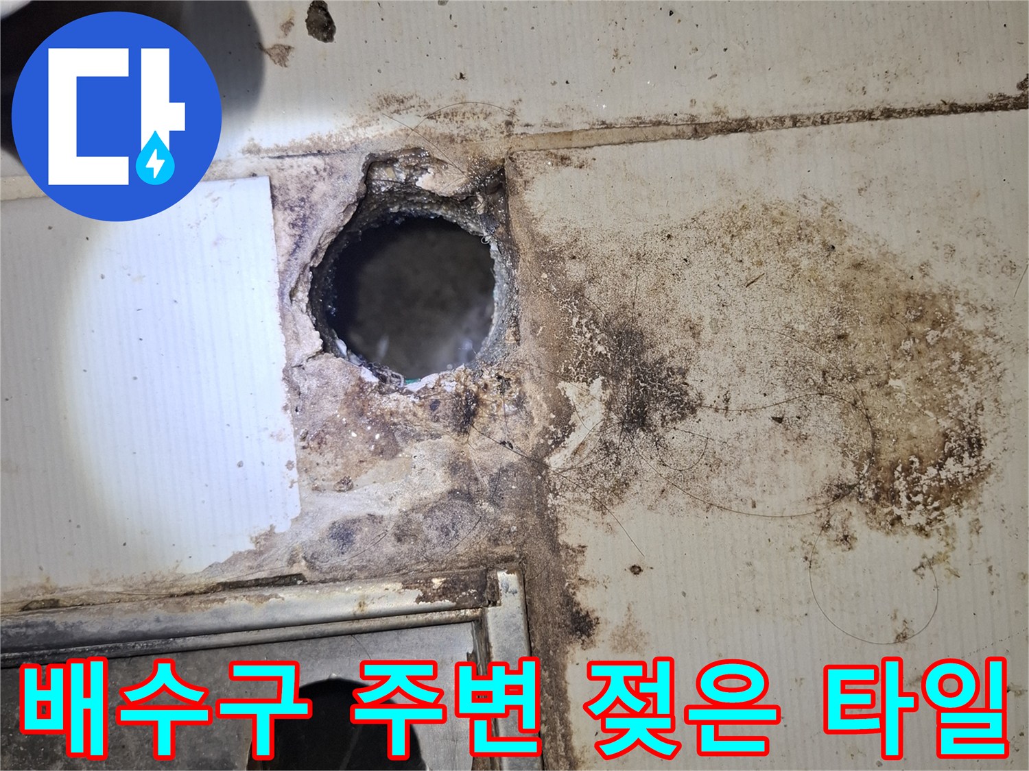 화장실 배수구 입구 근처의 습기 찬 타일과 오염된 마감재