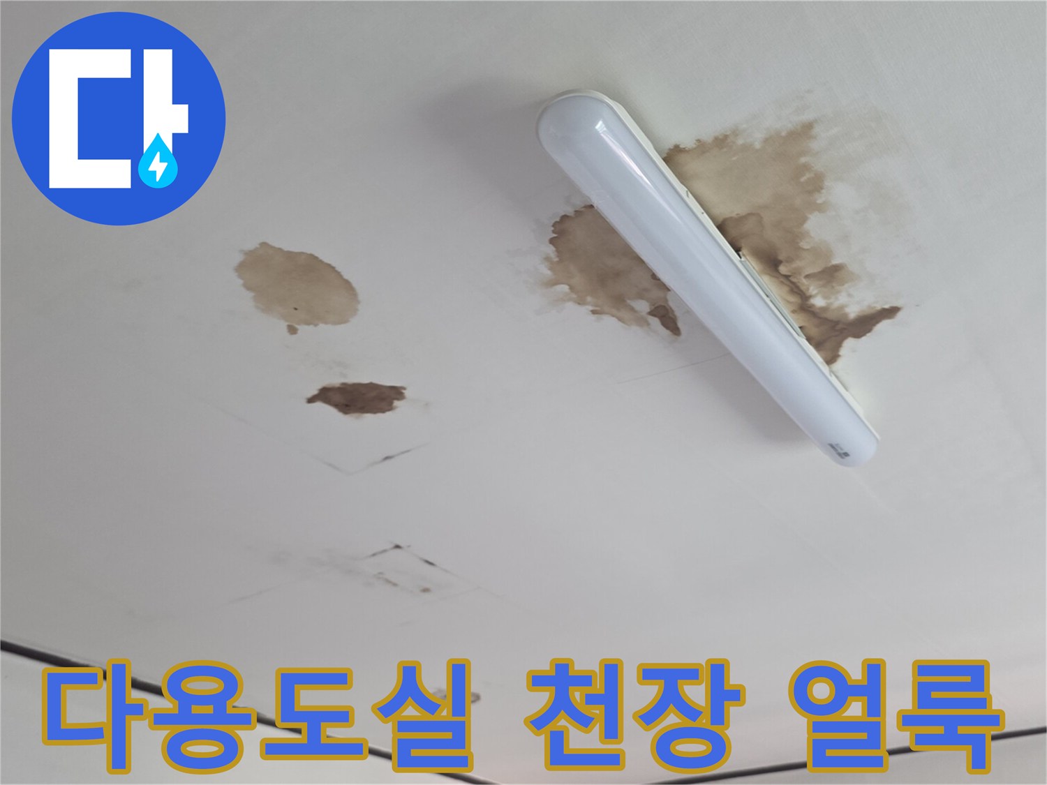 다용도실-천장에-발생한-젖은-얼룩과-물자국
