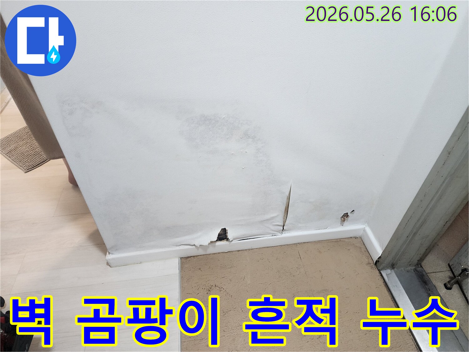 벽지-하단이-젖어-찢어지고-곰팡이가-번진-누수-발생-벽면