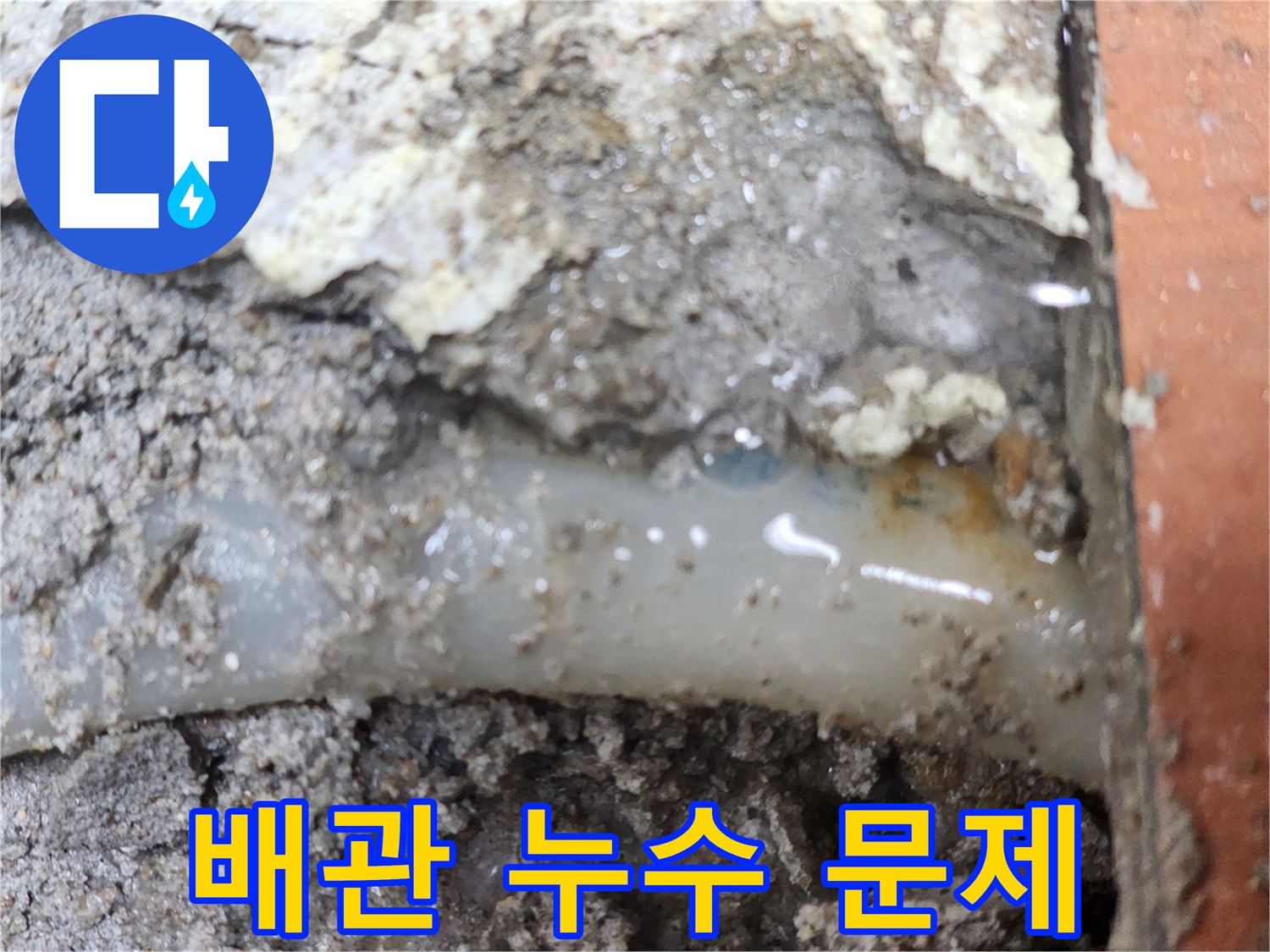 누수-전문가가-발견한-배관-누수-문제의-결정적인-현장입니다