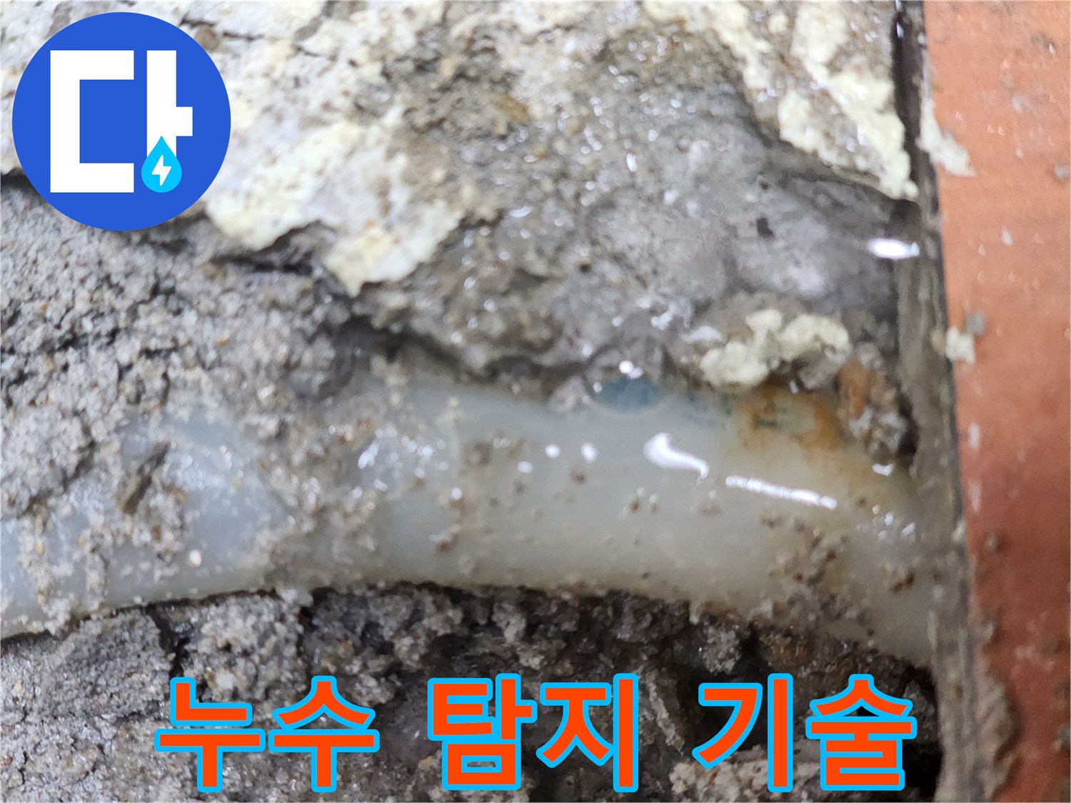 누수-전문가가-최첨단-탐지-기술로-누수-지점을-확인한-현장입니다