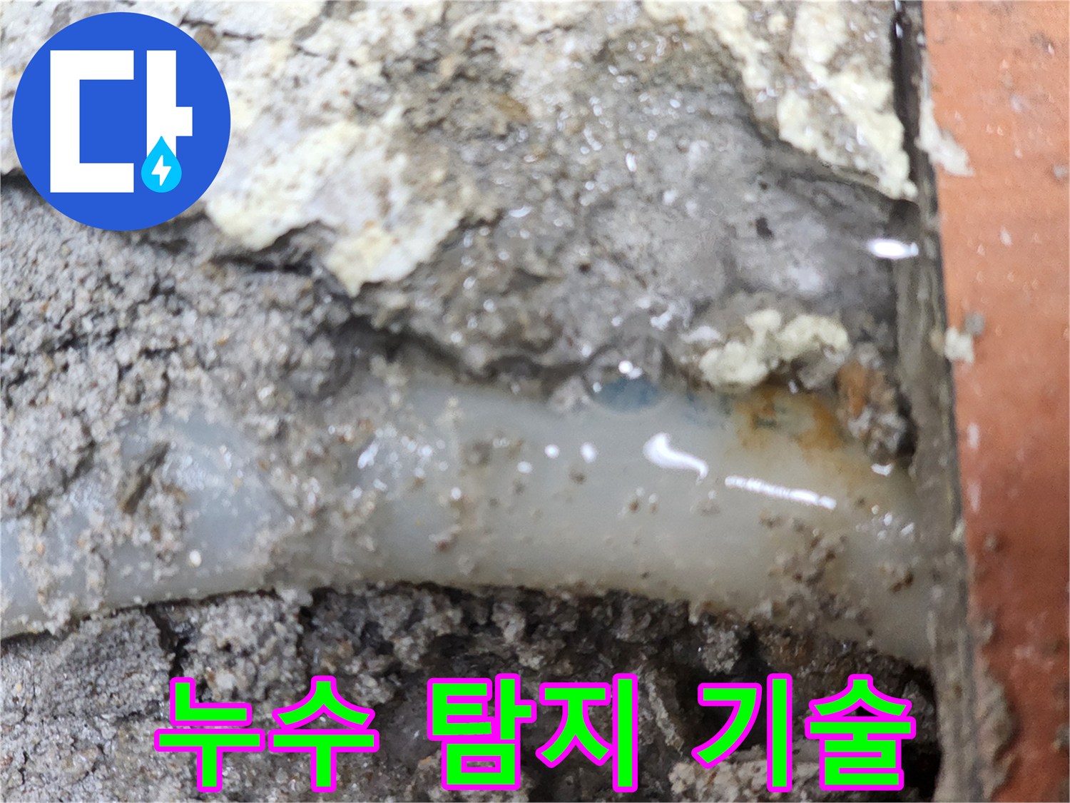 누수-전문가가-최첨단-탐지-기술로-누수-지점을-확인한-현장입니다
