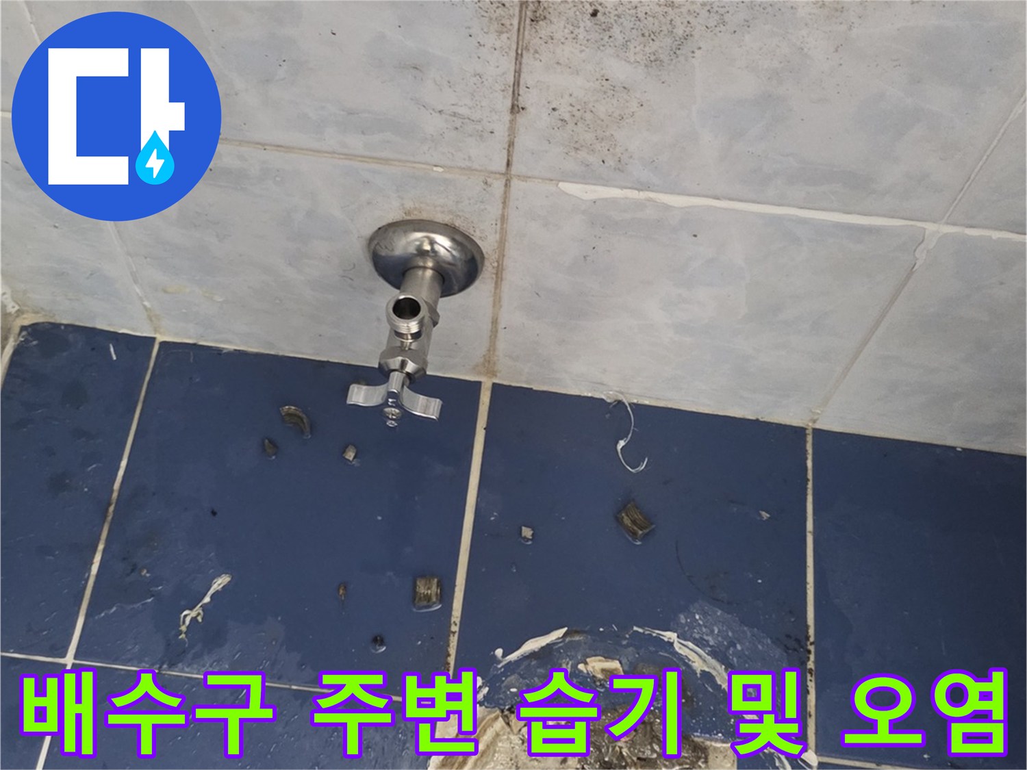 동두천-욕실-배수구-주변-타일-상태-사진