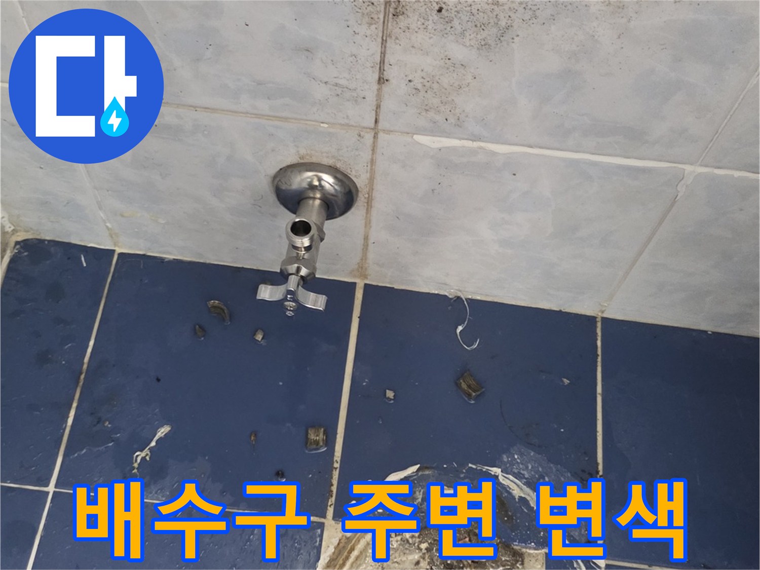 배수구-유가-주변-타일-틈새-오염