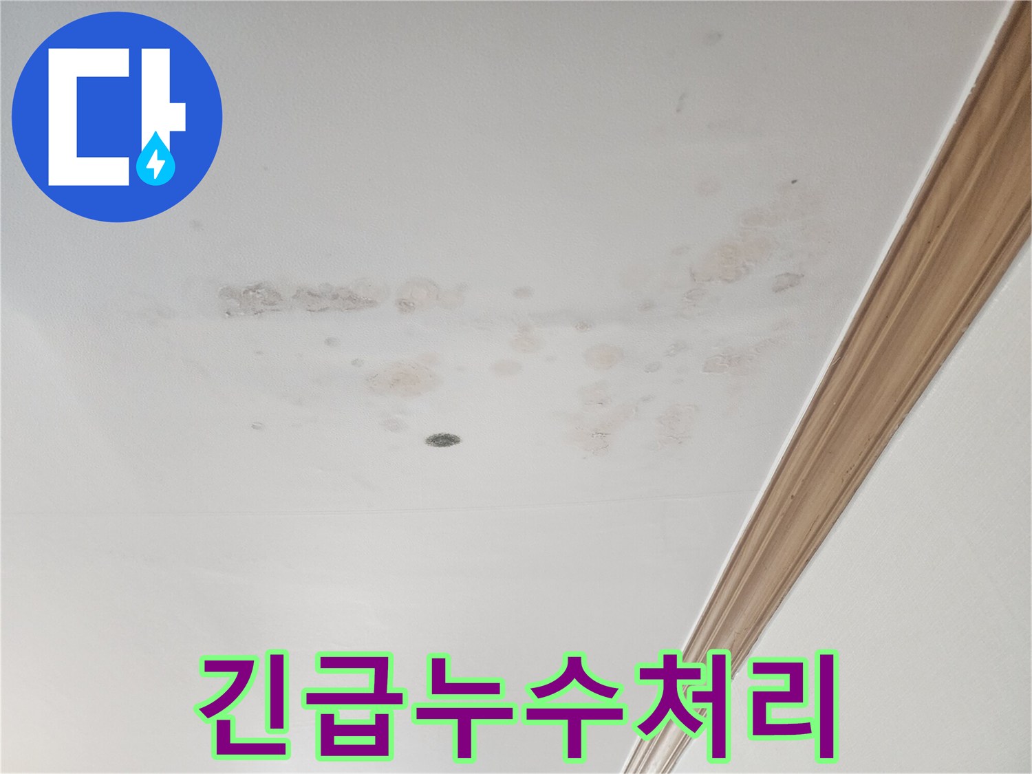 물샘으로 생긴-얼룩이-천장 전체에-퍼져있는-상황입니다.