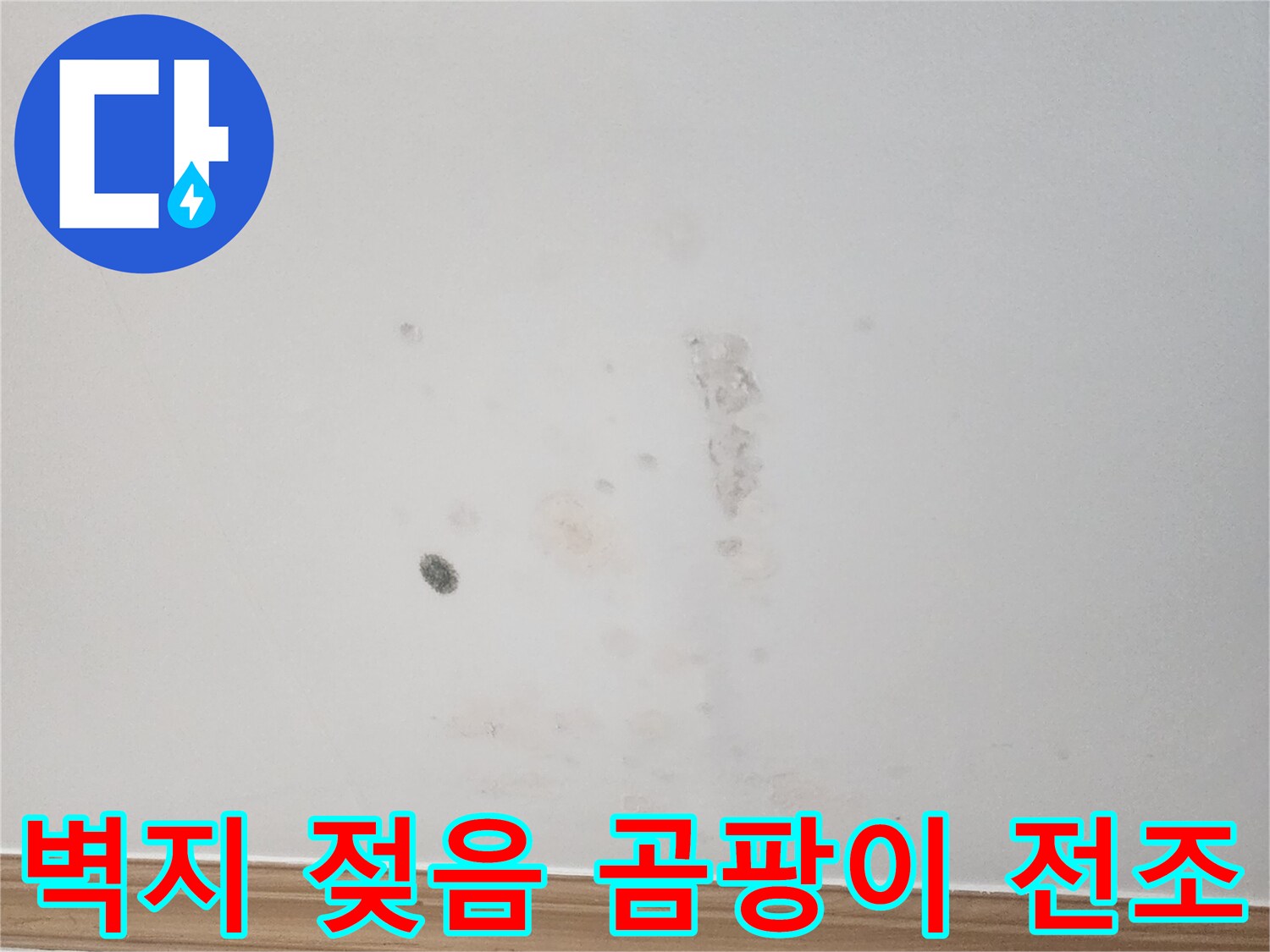 벽지에 나타난 물 얼룩은-곰팡이 발생의 전조 증상입니다-건강을 위해 빠른 조치가 필요합니다