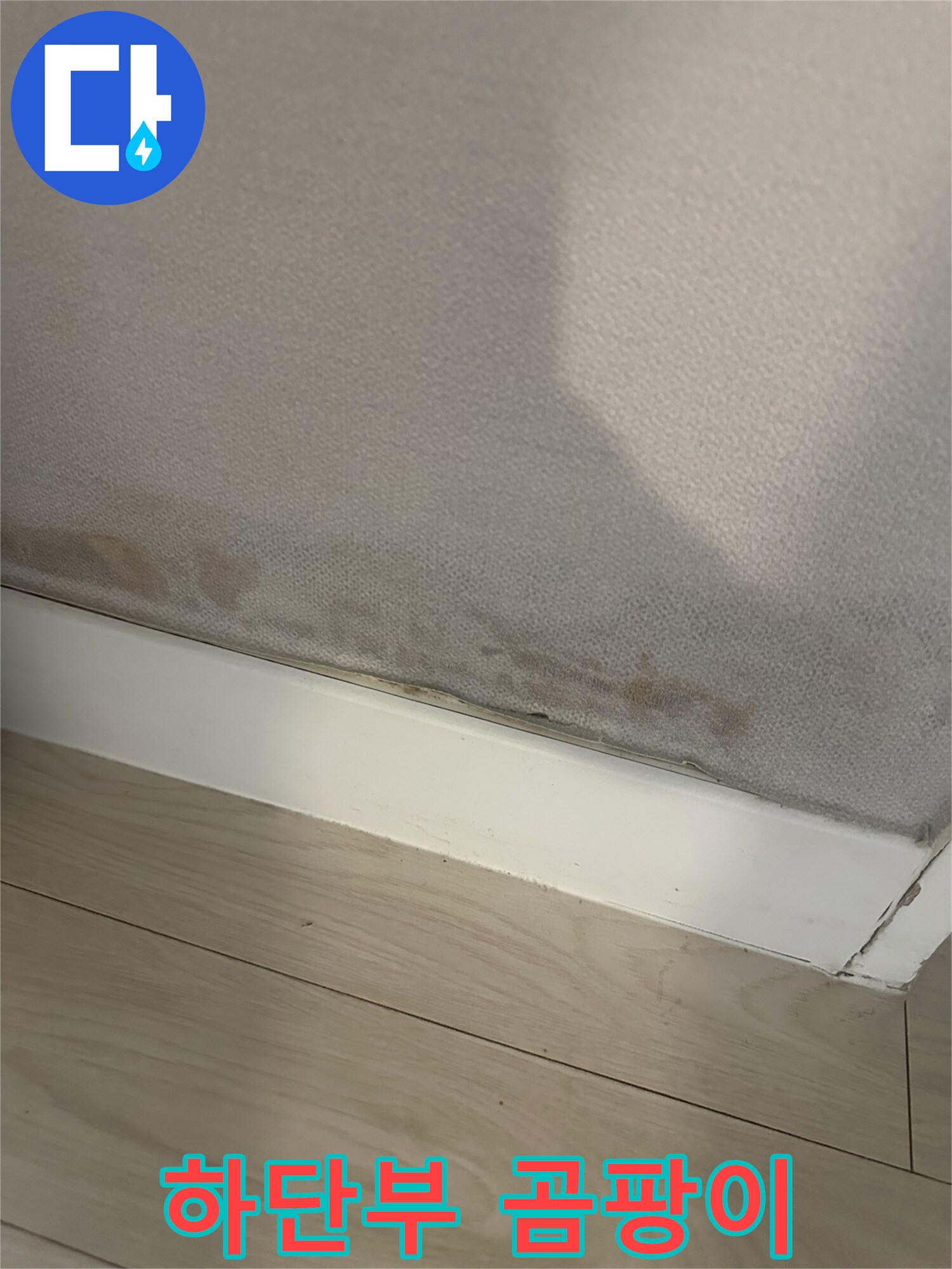 벽지 하단에 나타난 곰팡이와 습기 오염 부위