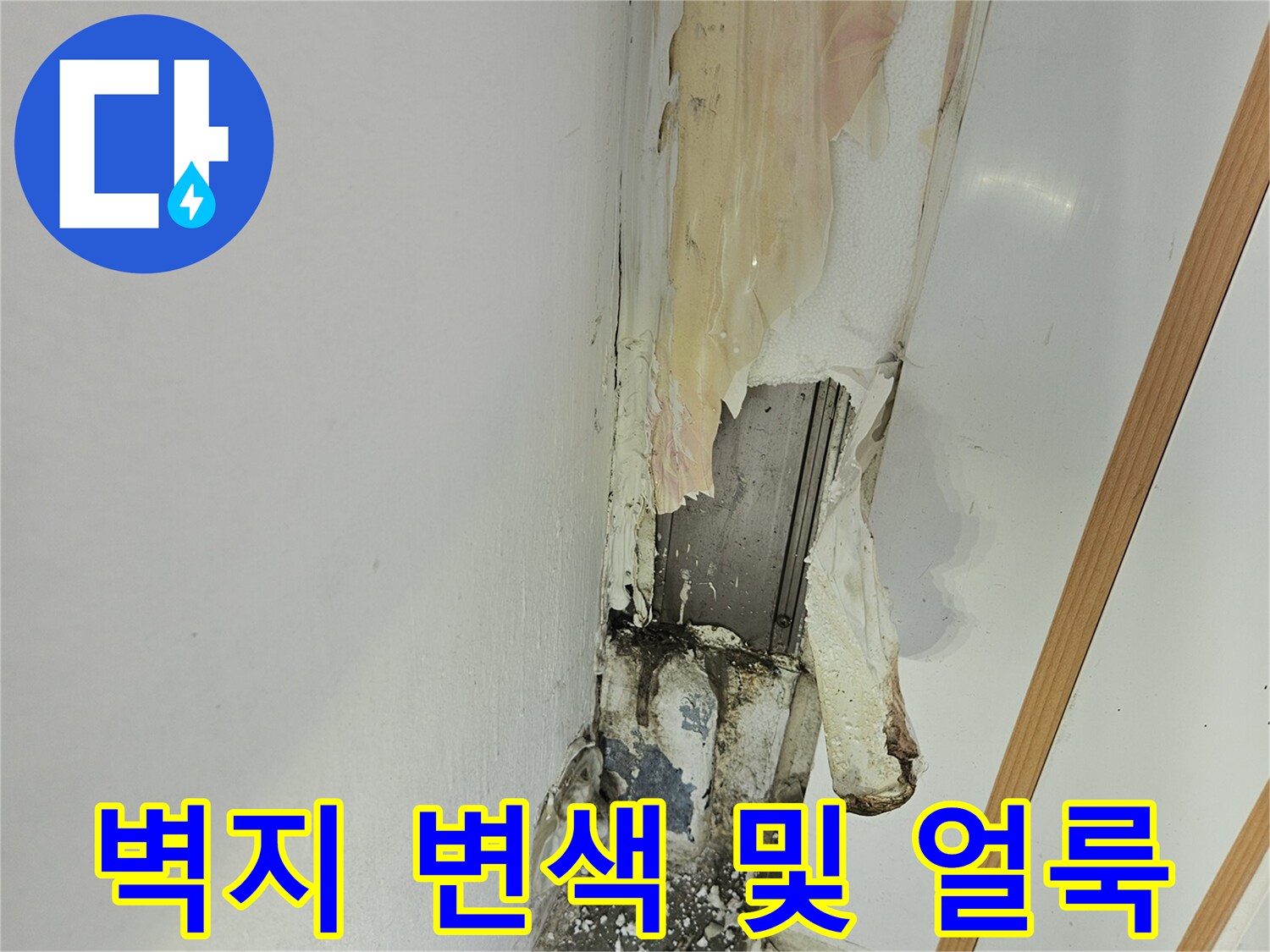 누수로 인한 천장 벽면의 황변 현상과 젖은 부위