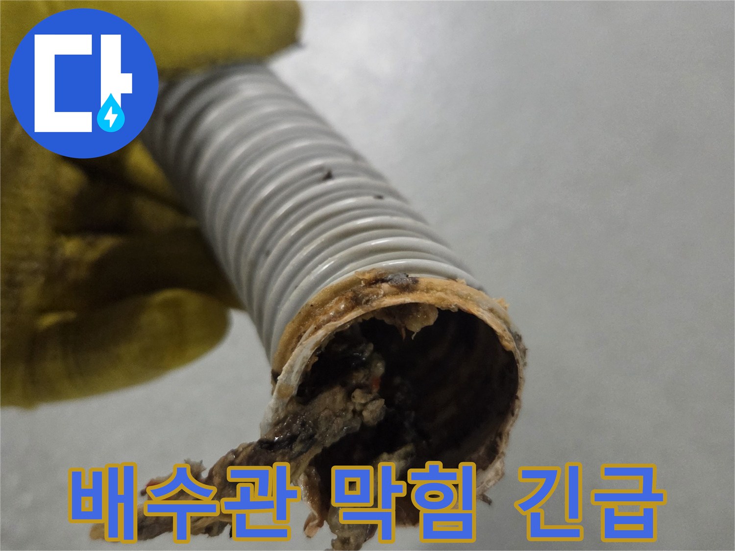노란 장갑을 낀 손이-긴급하게 처리해야 할-이물질로 막힌 배수관을 보여줍니다.