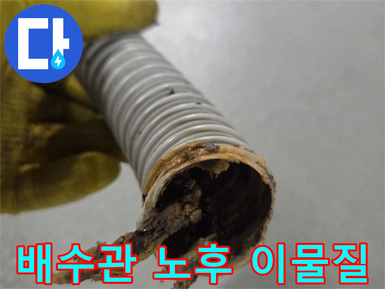 노란색 장갑을 낀 손이-오랜 사용으로 노후된 배수관의 단면을 보여줍니다.