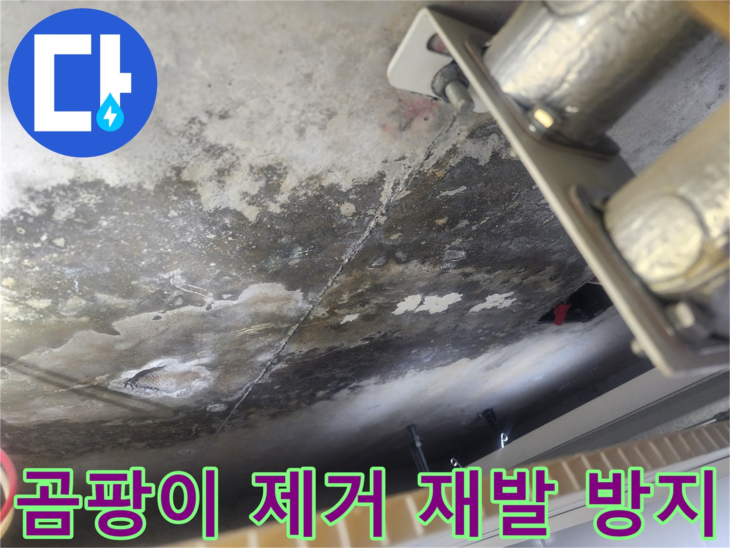아랫집 천장에-번식한 곰팡이를-친환경적으로 제거하고-재발을 방지하는 현장