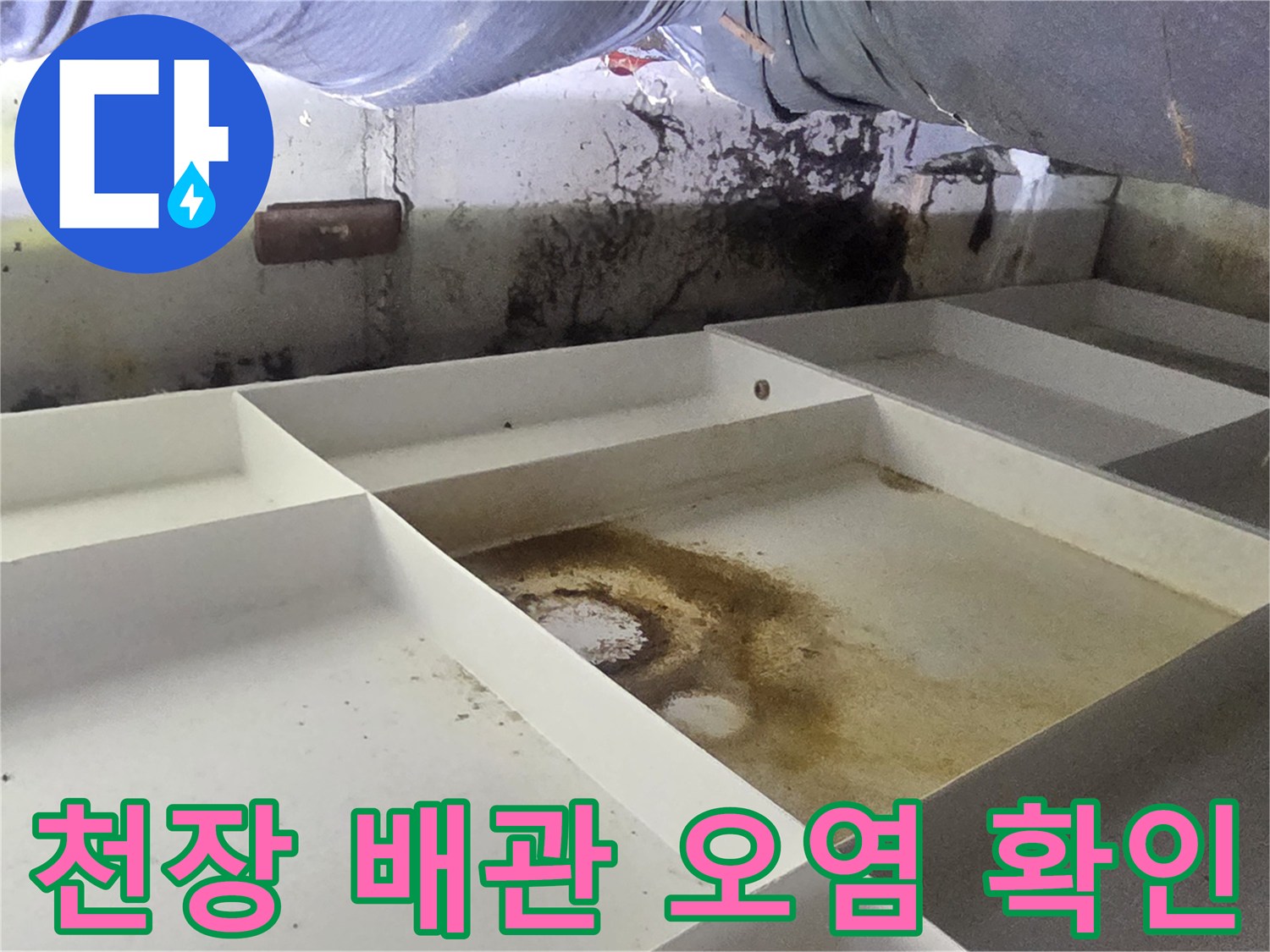 천장 내부 보온재-배관 주변의 곰팡이와 물고임 흔적