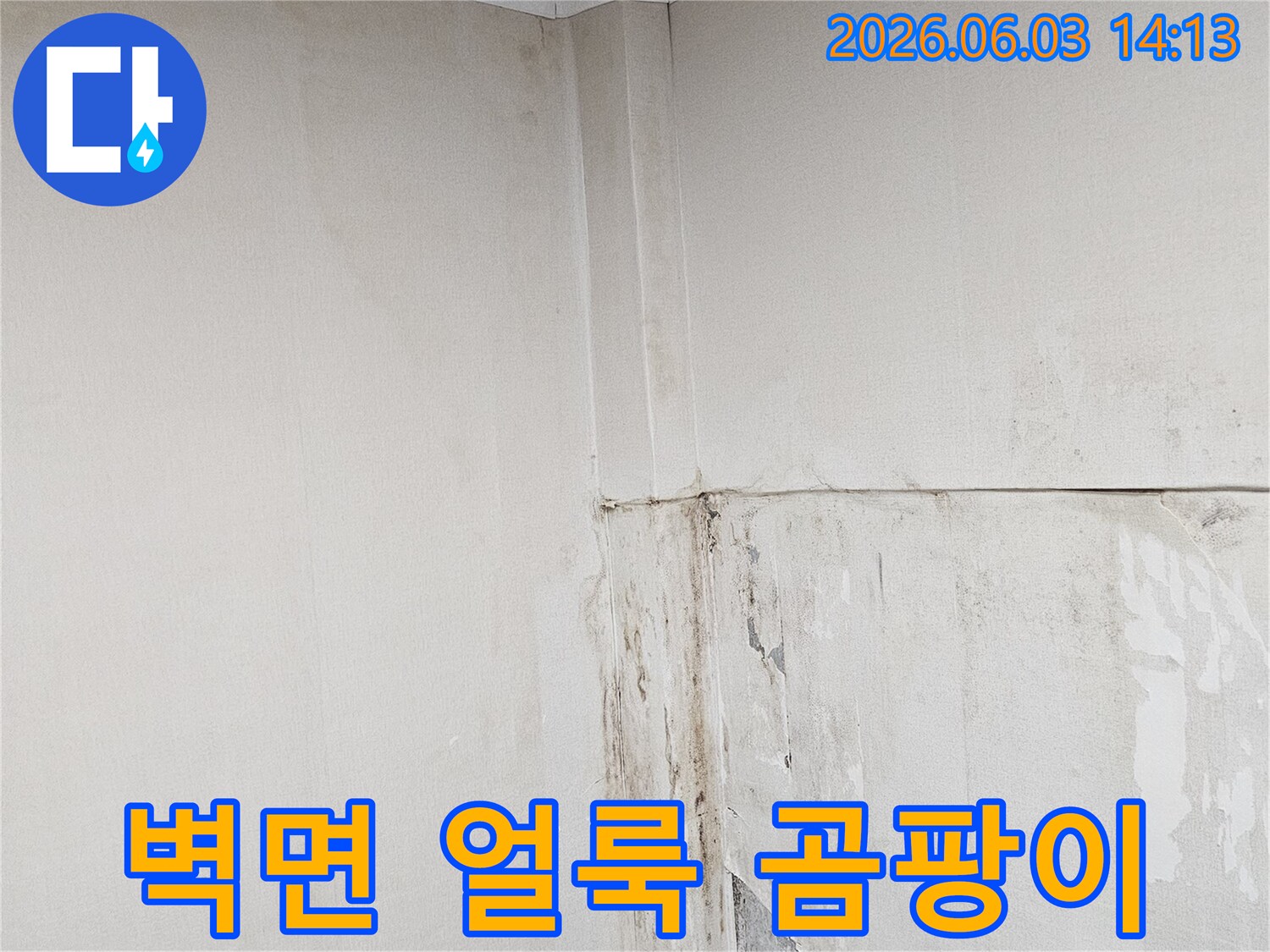 벽면-상단에-누수로-인한-얼룩과-곰팡이가-번지고-있는-모습