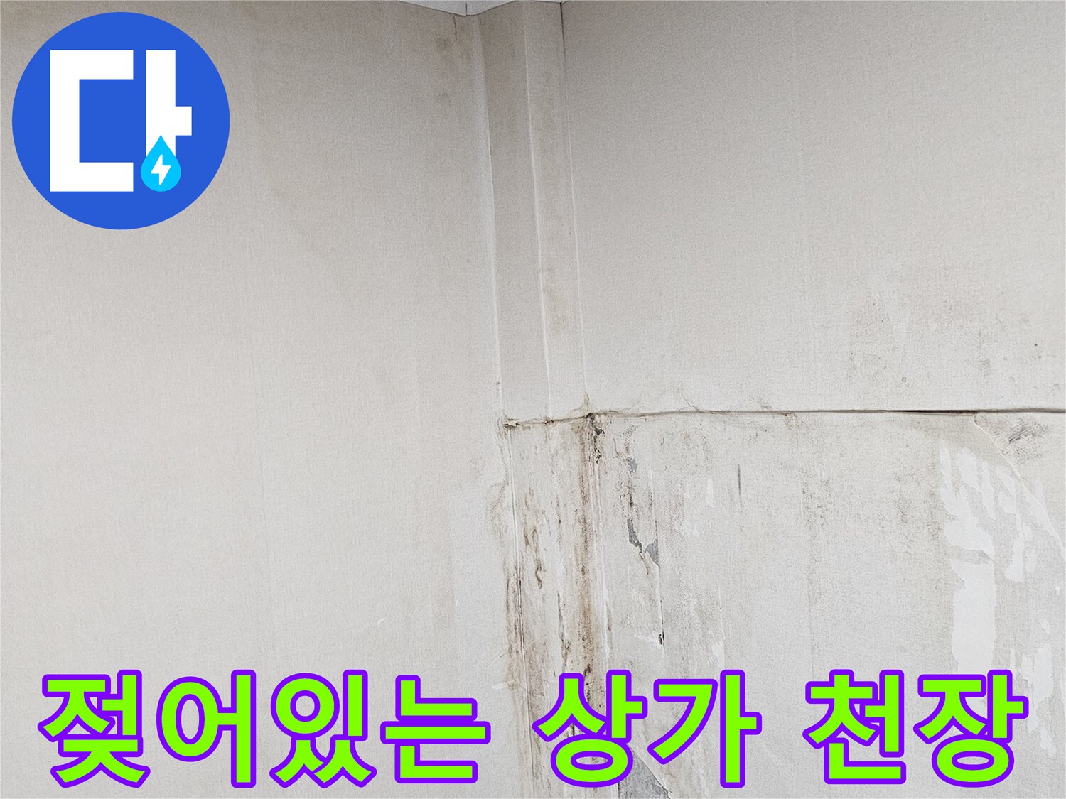 상가-천장-및-벽면-누수-피해-현장
