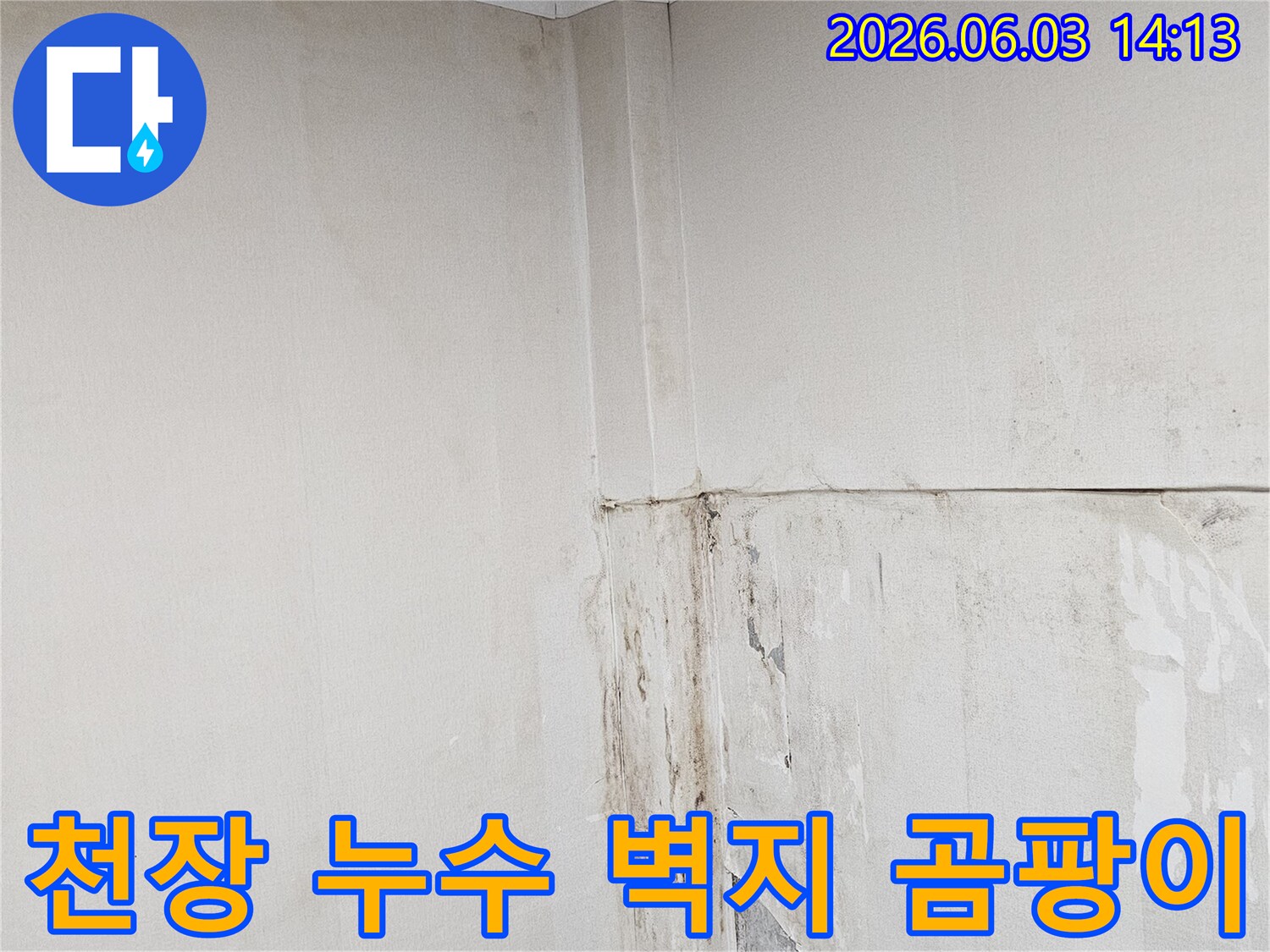 천장-벽면-누수로-인해-벽지가-손상되고-곰팡이가-피어난-현장-사진