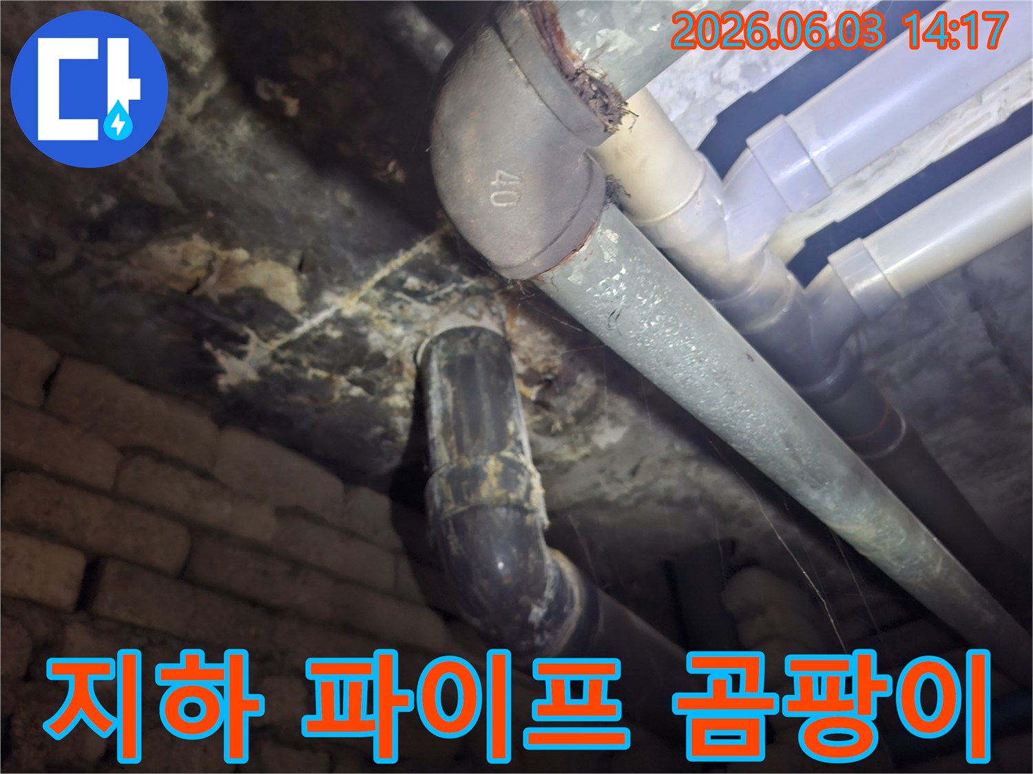 지하 파이프라인 주변에 광범위하게 퍼진-곰팡이와 물때를-누수 진단 전 촬영한 현장 사진