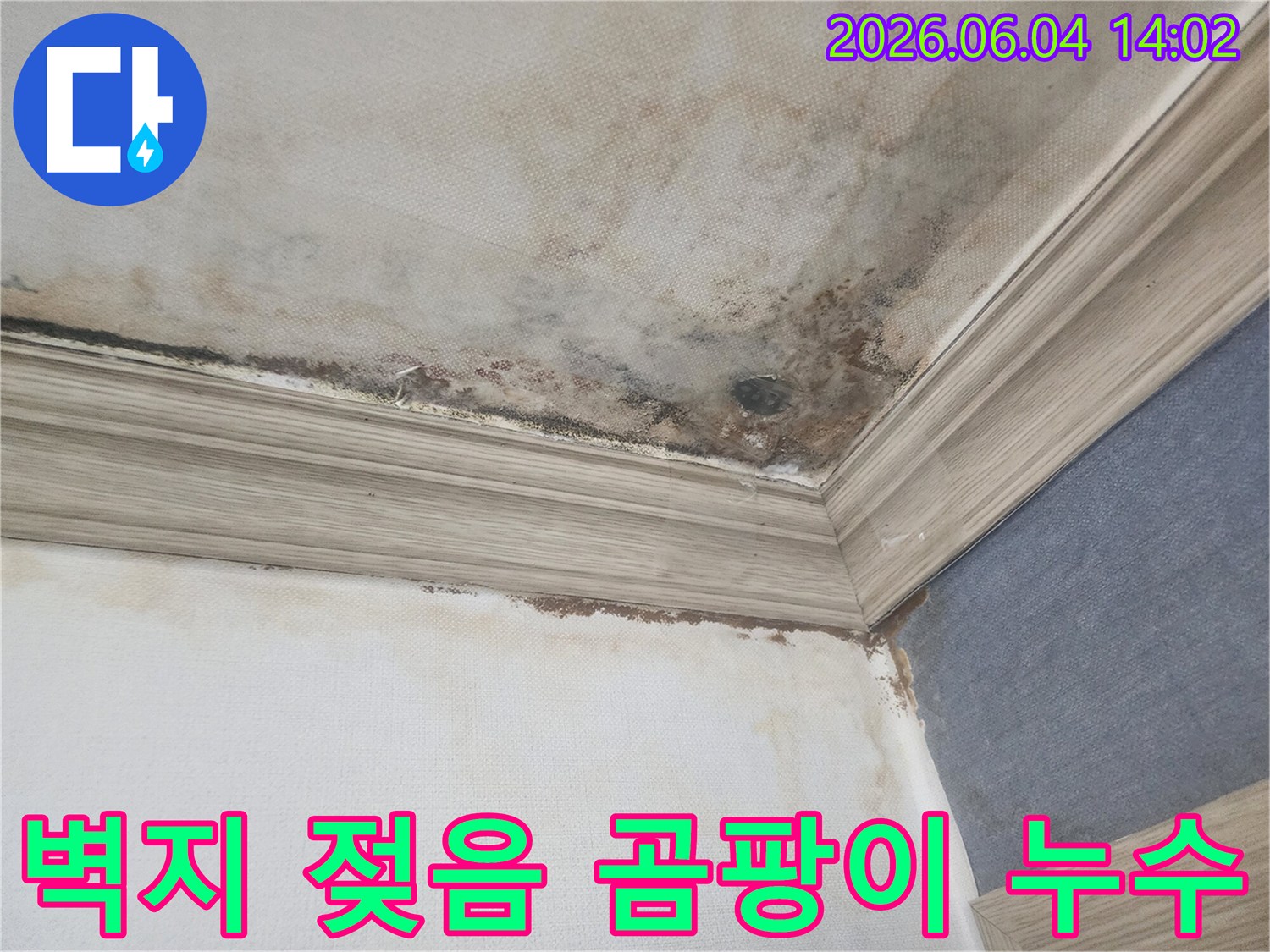 천장과 벽의 경계면에-누수로 인한 벽지 젖음과-검은 곰팡이가 번져있는-주택 내부의 손상된 모습