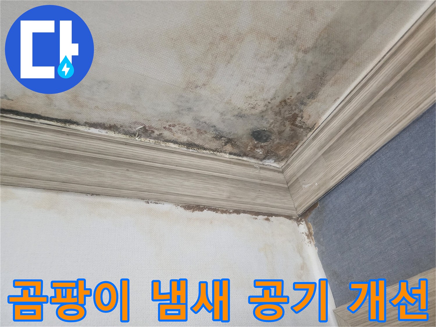 평택 아파트 천장의 곰팡이 냄새와-물자국은-실내 공기 질 개선을 위해-누수 제거가 시급함을 보여줍니다.