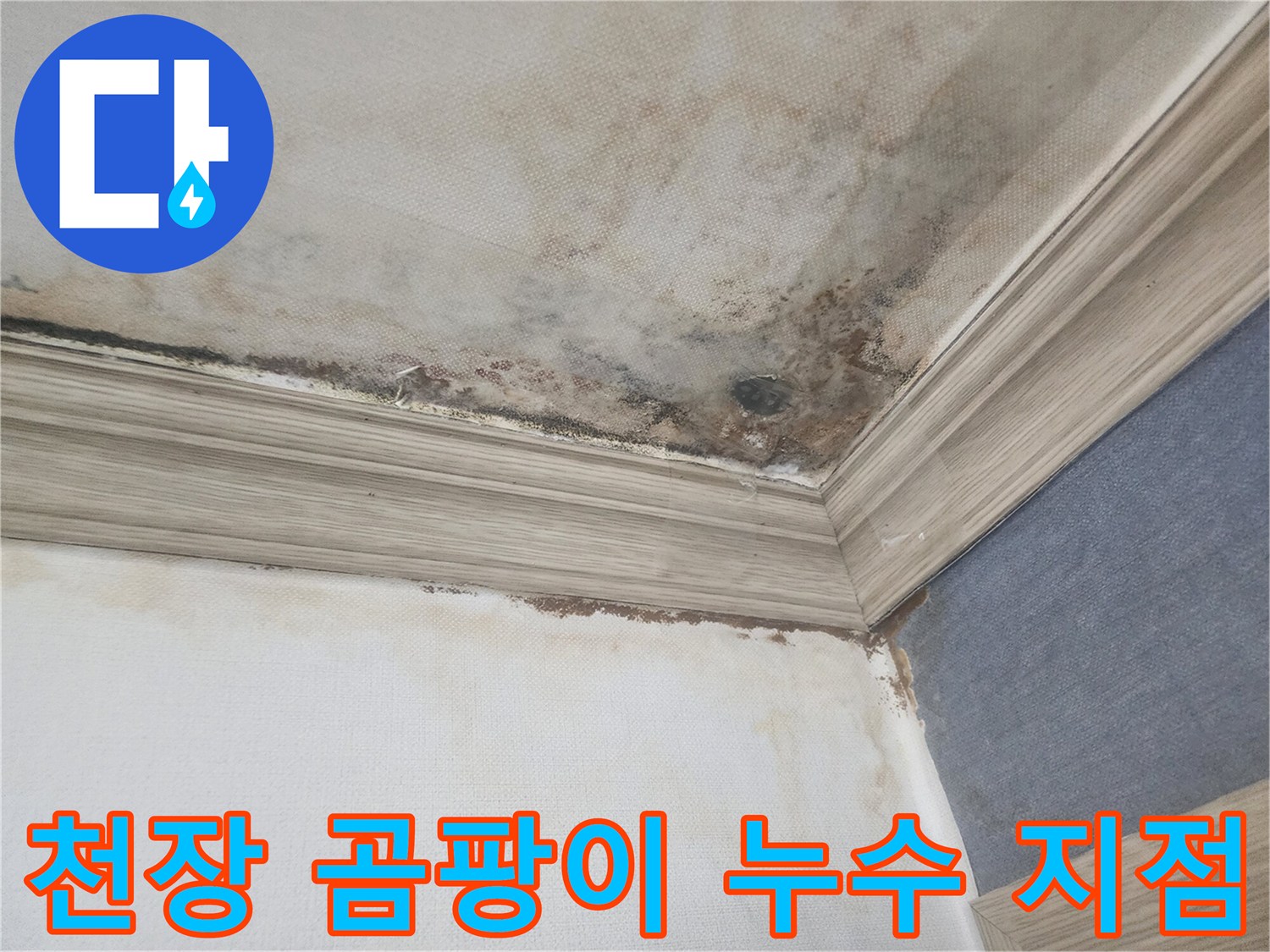 평택 주택의 천장 모서리에 나타난 심한 곰팡이와-누수로 인한 물자국은-정확한 누수 지점 탐지가 시급함을 보여줍니다.