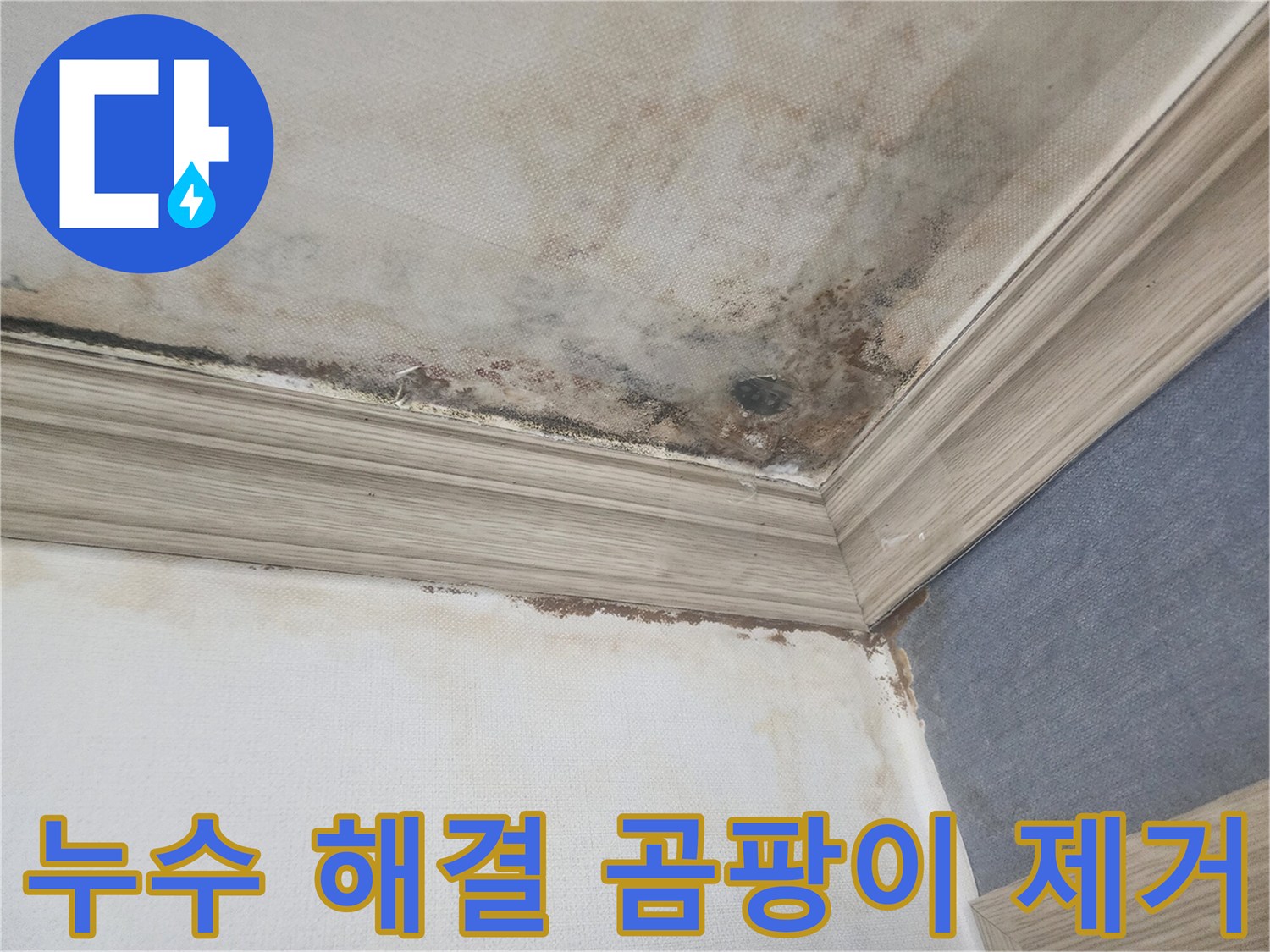 평택의 누수 현장에서-천장 곰팡이 제거와-완벽한 누수 공사를 통해-문제를 해결하는 과정을 보여줍니다.