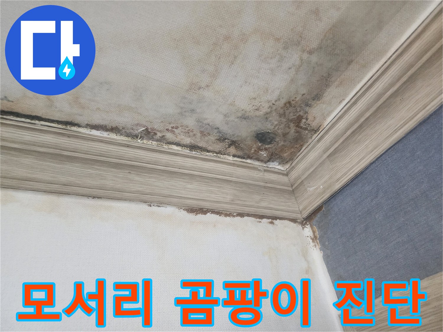 평택의 천장 모서리에 발생한 곰팡이는-숨어있는 누수의 강력한 증거로-정밀 진단 서비스가 시급합니다.
