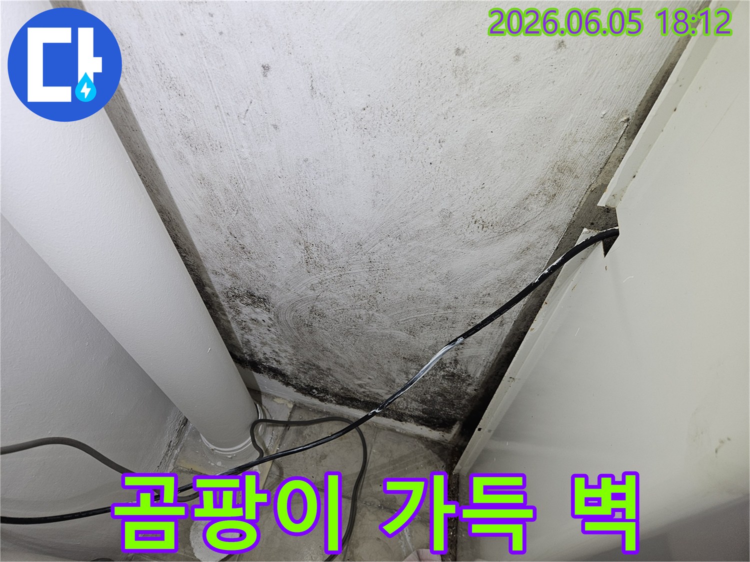 내부-습기와-누수로-인해-벽면-전반에-걸쳐-발생한-어두운-곰팡이-자국