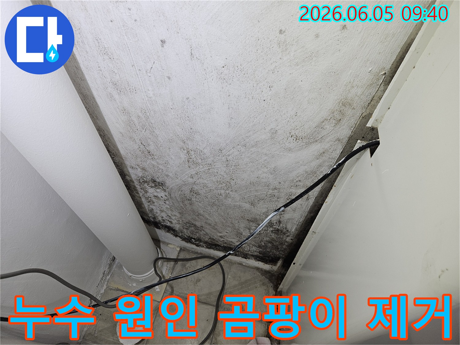 누수-탐지-전문가가-곰팡이-발생-현장에서-누수-원인을-파악하고-있는-모습