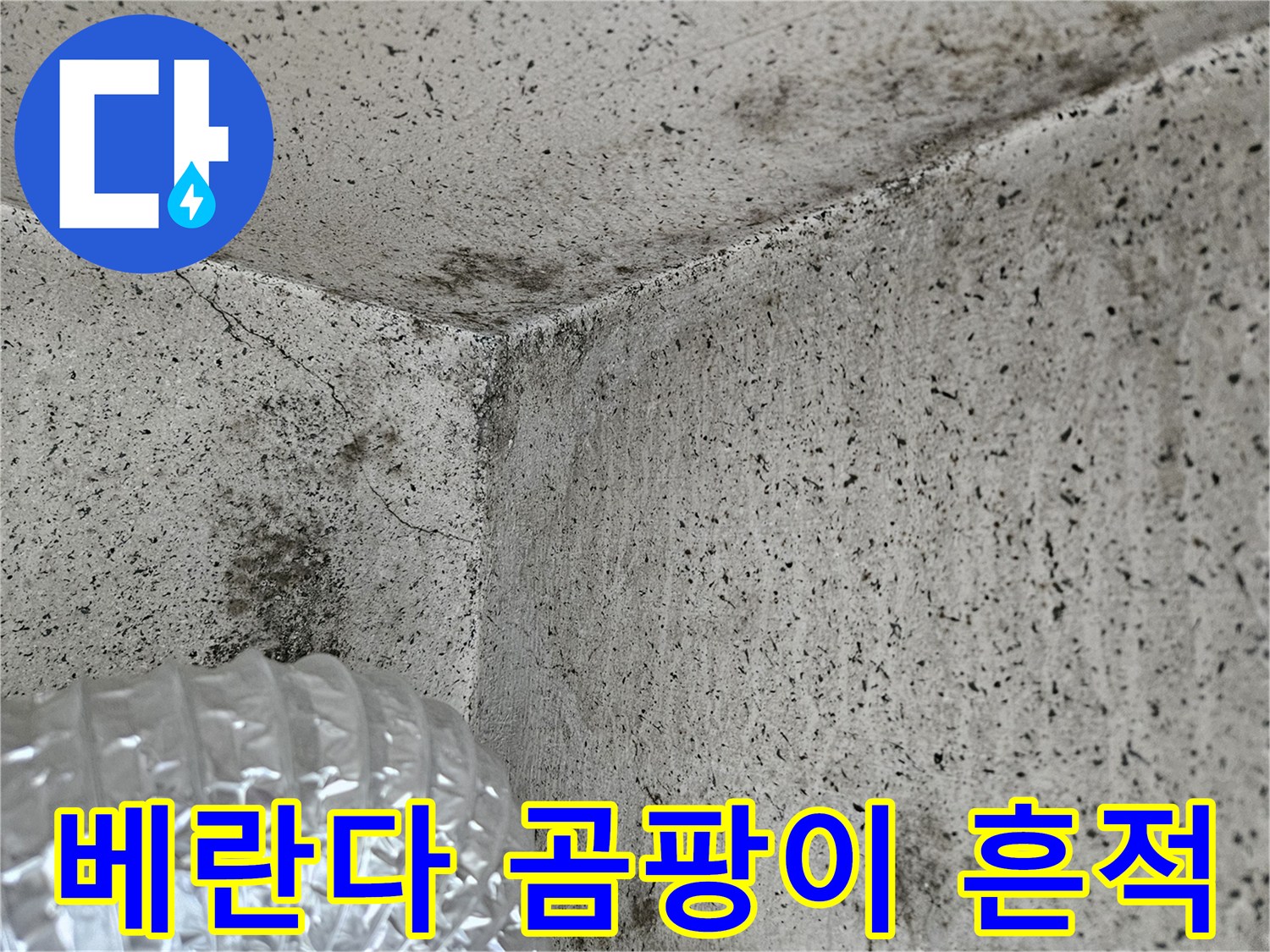 양주 아파트 베란다 벽면에 발생한 검은 곰팡이와 습기 흔적