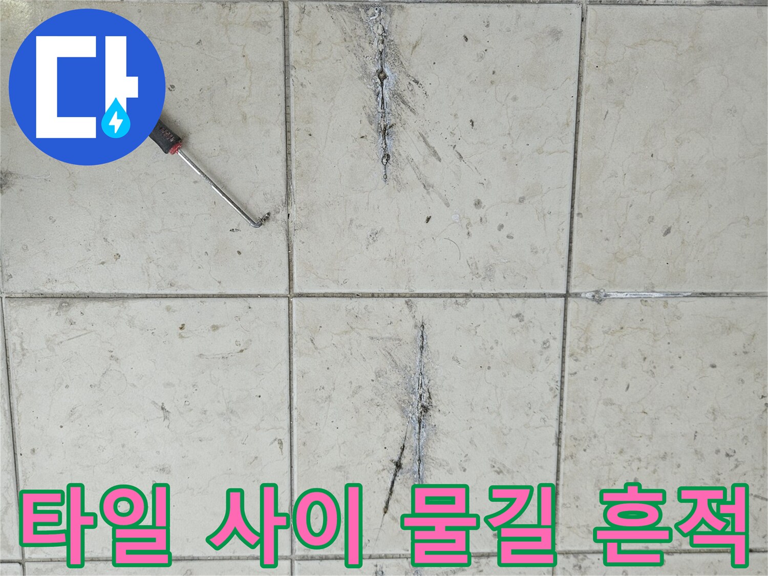 양주 현장-타일 틈새를 따라 형성된 어두운 침수 경로