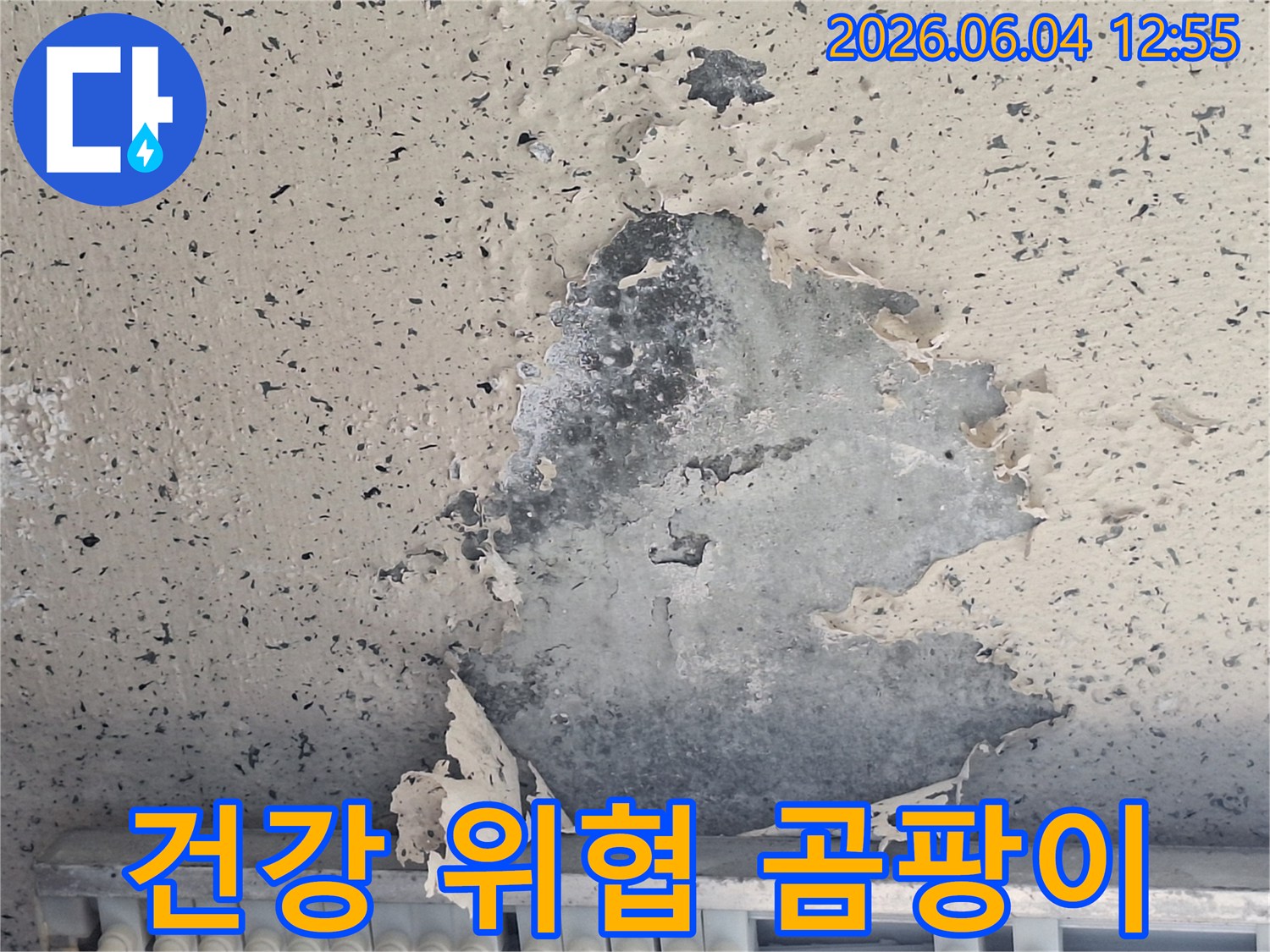 천장 누수로 인한 곰팡이 발생은-건강에 해로울 수 있어-신속한 제거가 필요합니다.