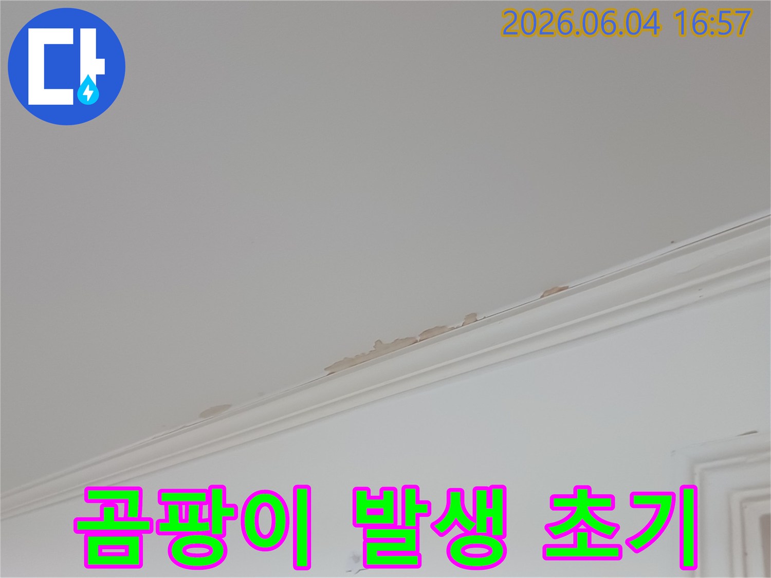 천장-도배지가-젖어-들뜨고-변색되어-곰팡이-발생이-우려되는-누수-현장입니다
