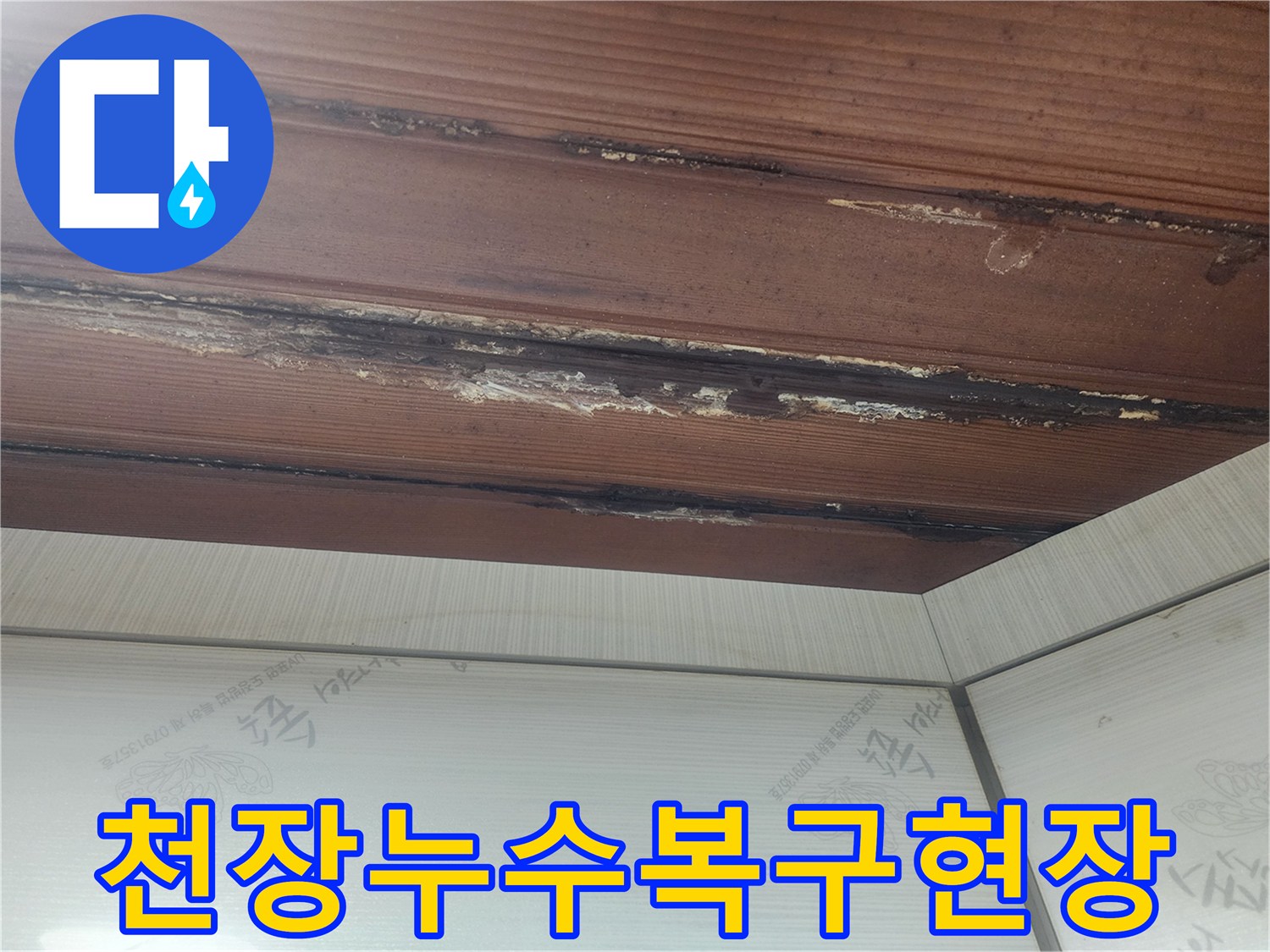 서소문동-빌라-천장-누수-피해-현장을-꼼꼼하게-탐지하고-있는-모습입니다.