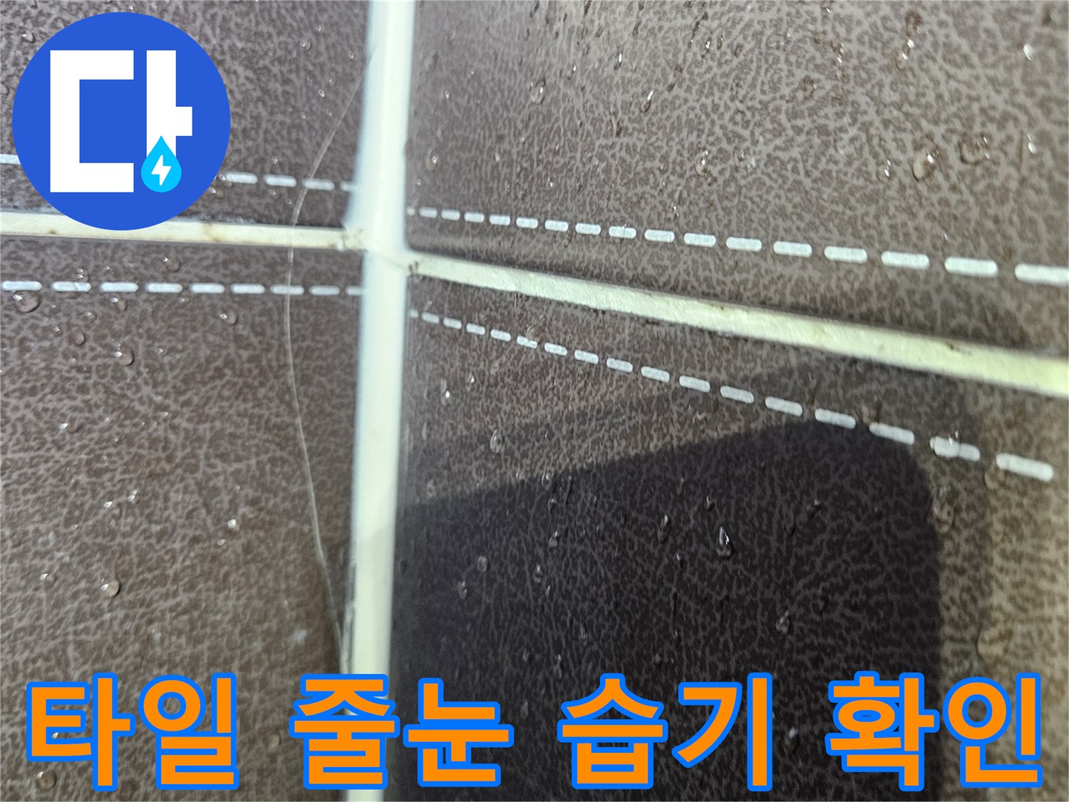 성동구 탈의실-샤워실 타일 사이로 물이 스며든 상태를 보여주는 사진입니다.