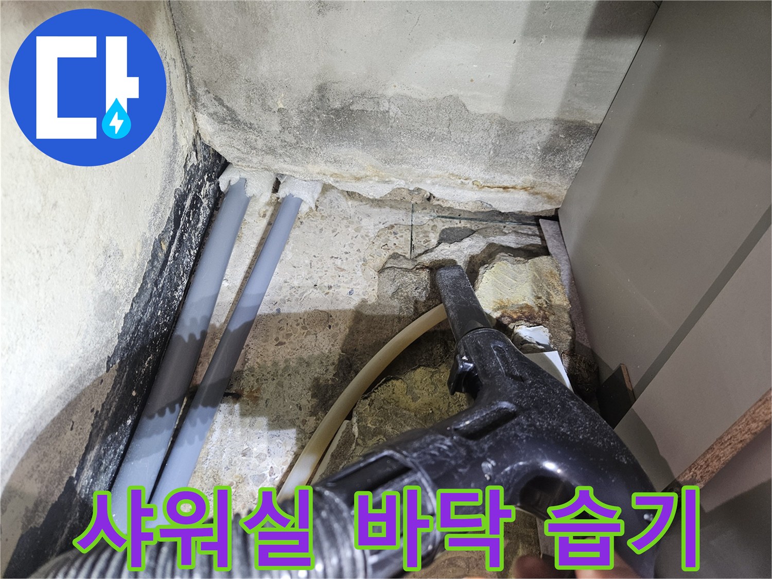 성동구 헬스장 샤워실-바닥 배관 주변의 습기와 물 고임 상태