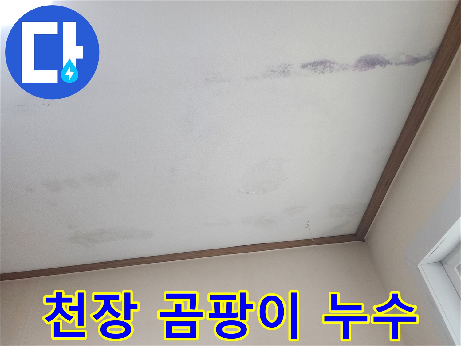 누수로 인해-천장에 생긴-곰팡이와-얼룩을 보여주는-피해 현장 사진