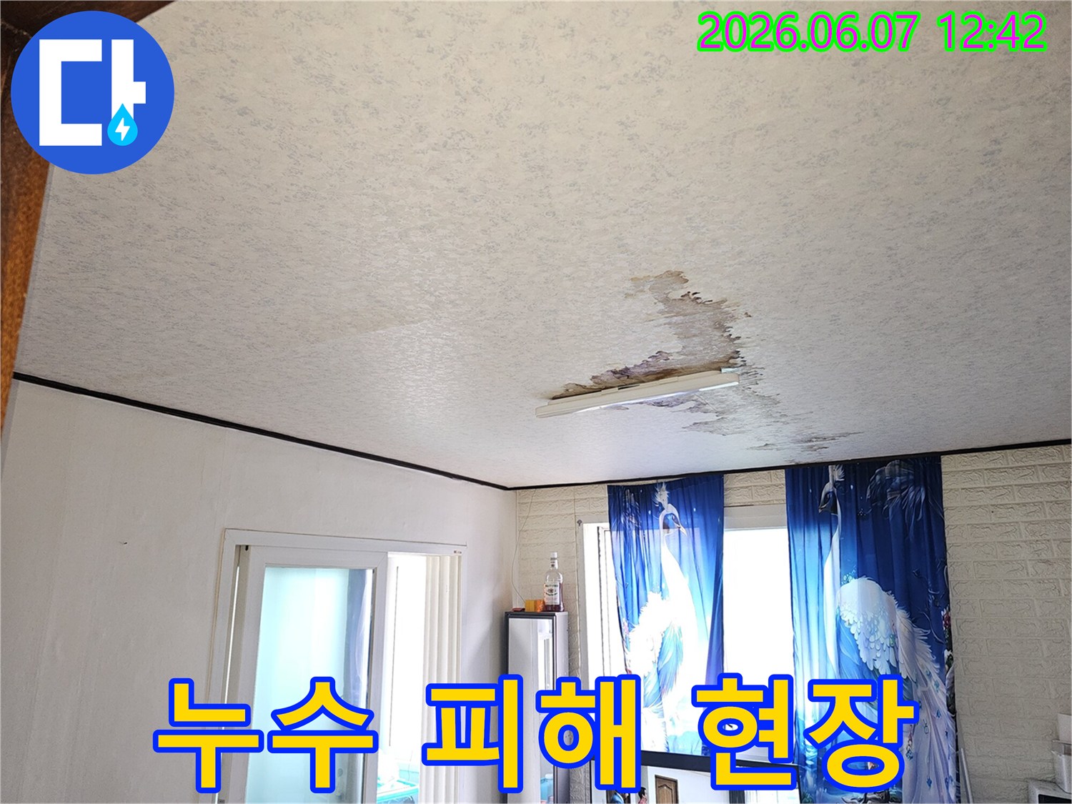 주택-천장에-발생한-누수-흔적과-젖은-벽지를-보여주는-사진