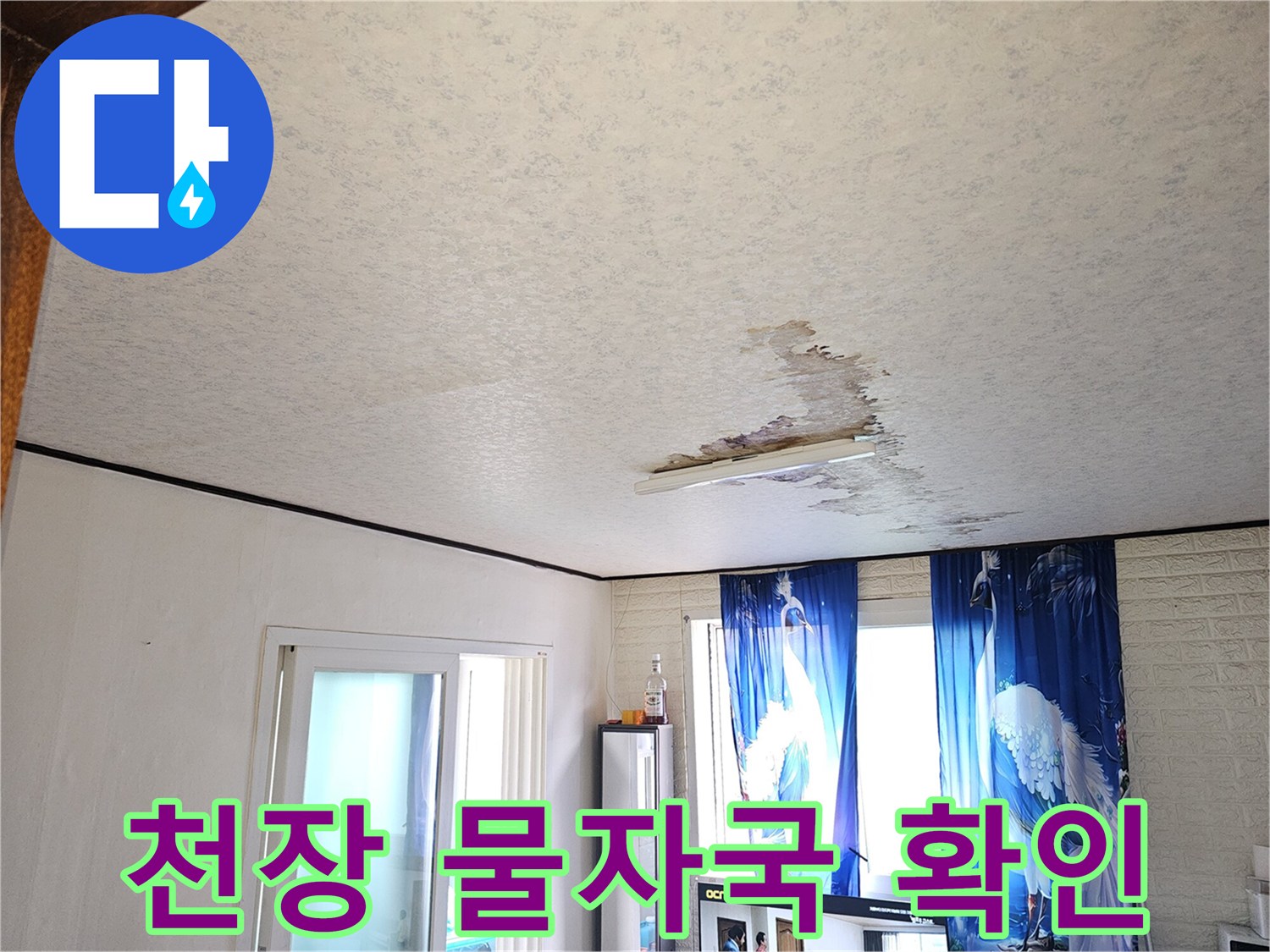 천장 면에 나타난 젖은 얼룩과 변색 부위