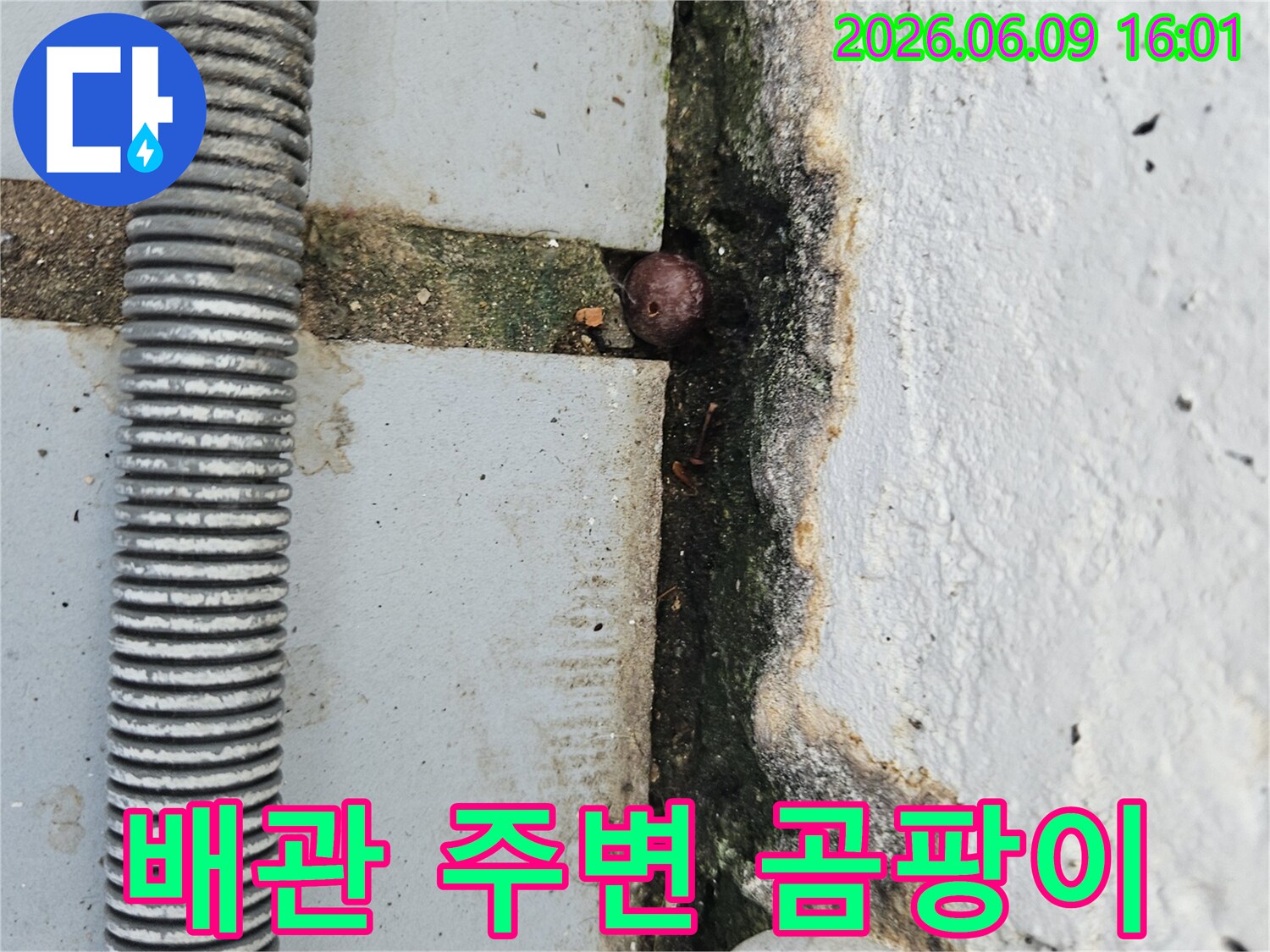 낡은 주름 배관 주변에 발생한 짙은 곰팡이와-벽면의 오염-그리고 균열 틈새의 이물질을 보여주는 누수 현장 이미지