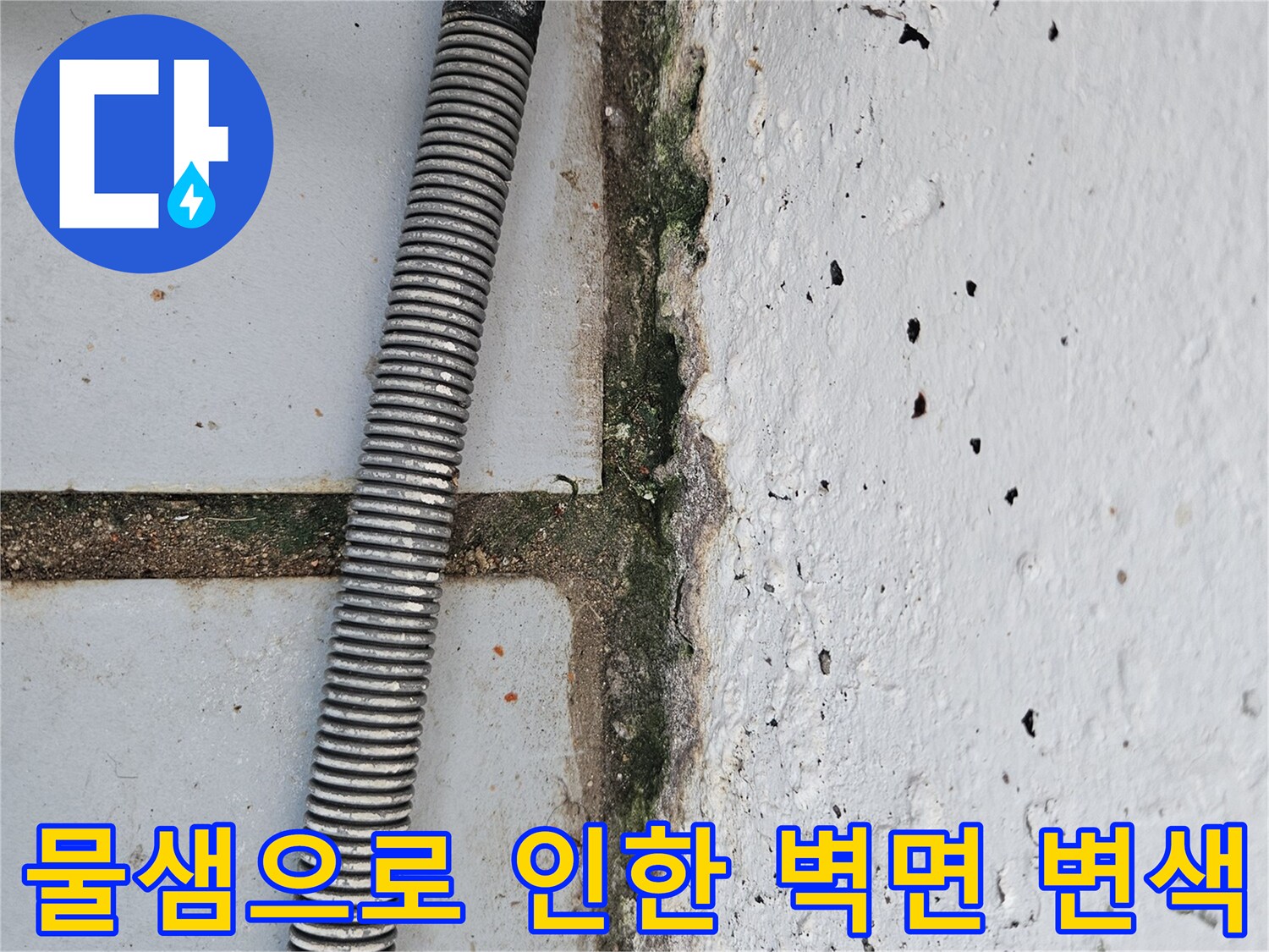 습기가 침투하여-부풀어 오른 벽면 페인트 부위