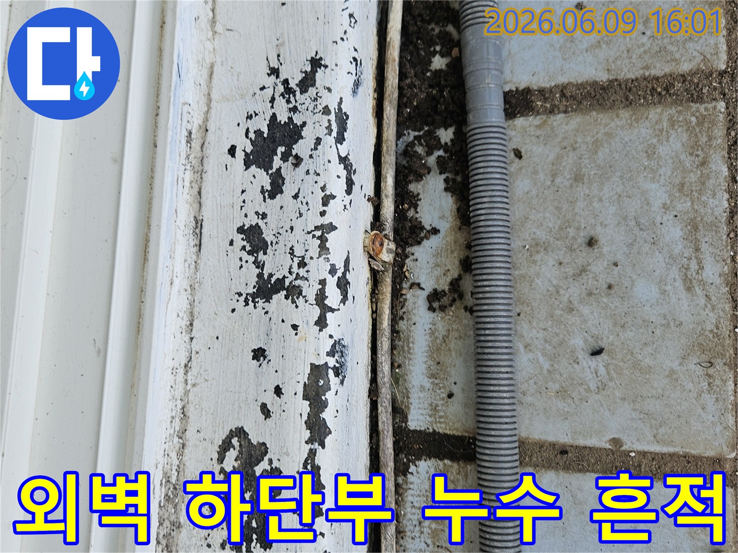 의정부 호원동 한신아파트 외벽-하단부에서 발견된-누수 흔적과-오염된 표면을-보여주는 현장 사진