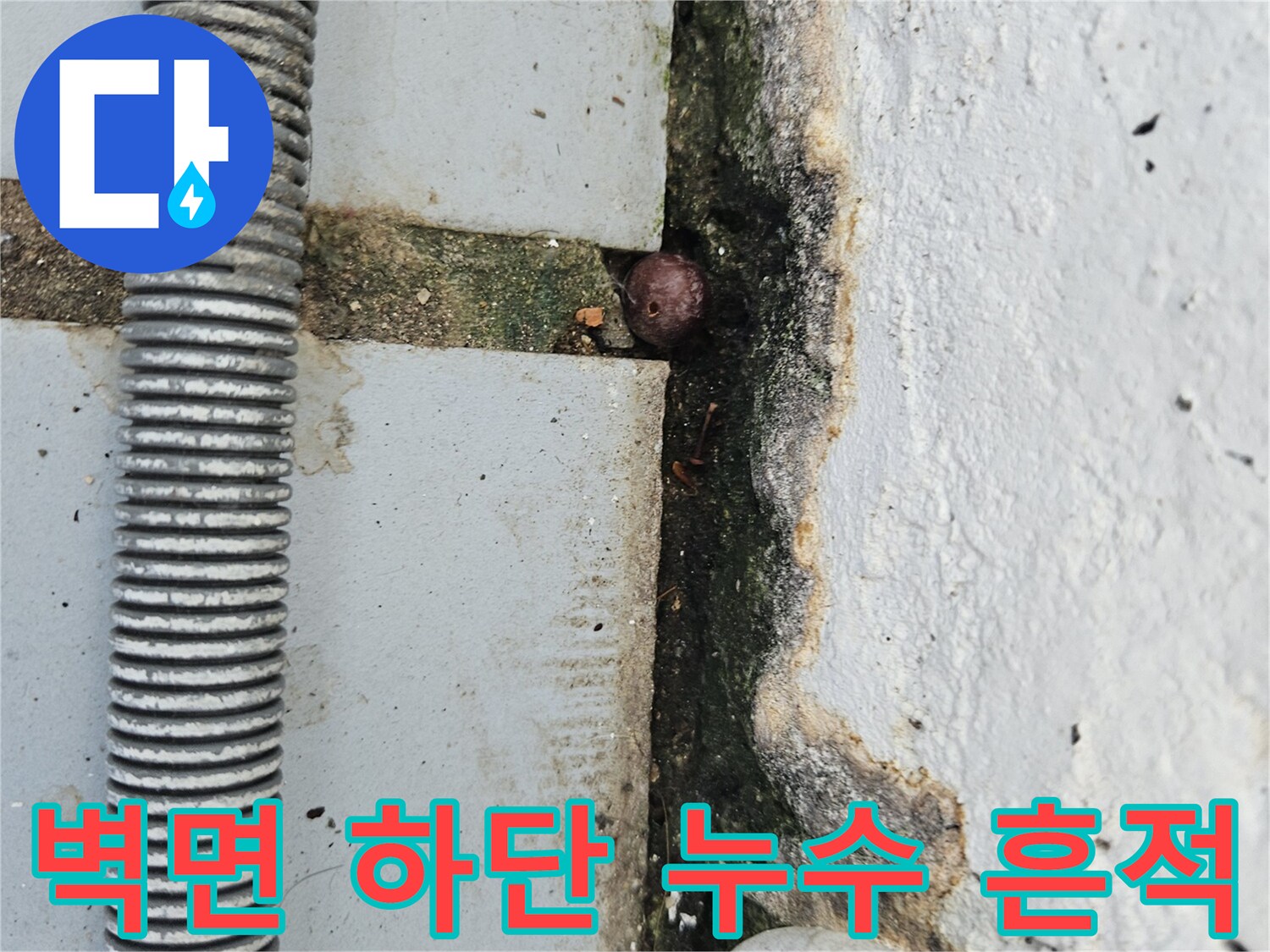 하얀색 벽면과 회색 타일 경계의 습기 젖은 부위 모습