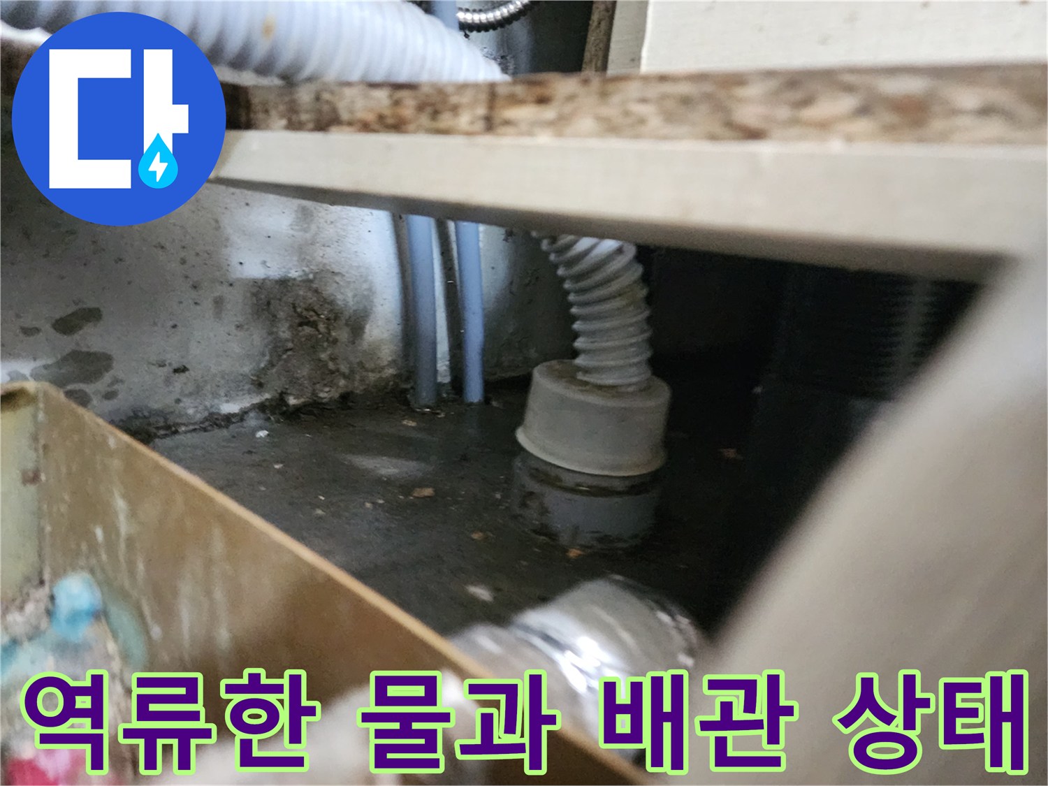 싱크대-하부-배관-주변에-고인-역류수-사진