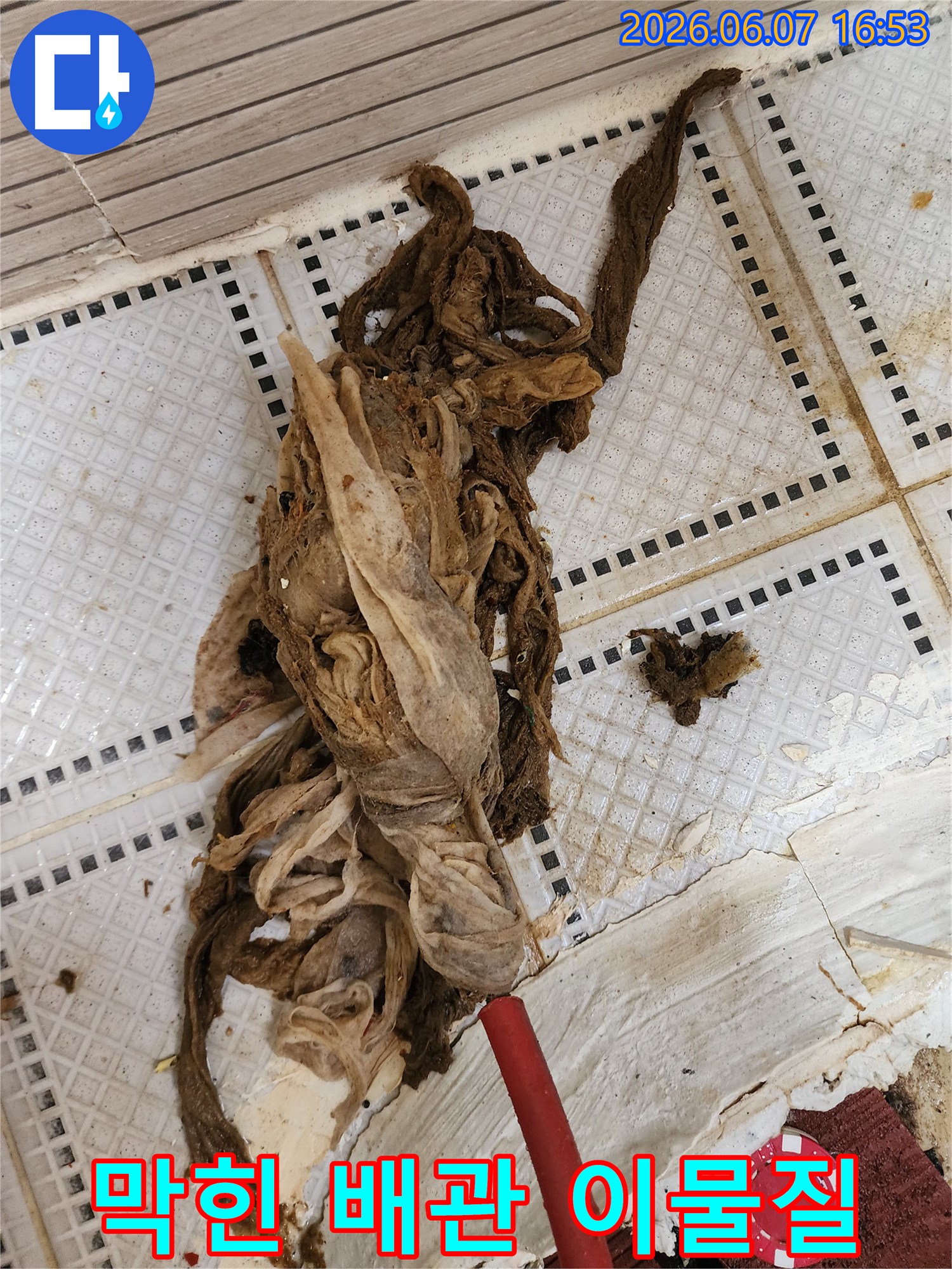 배수구 타일 사이로-추출된 거대한 섬유 찌꺼기 덩어리