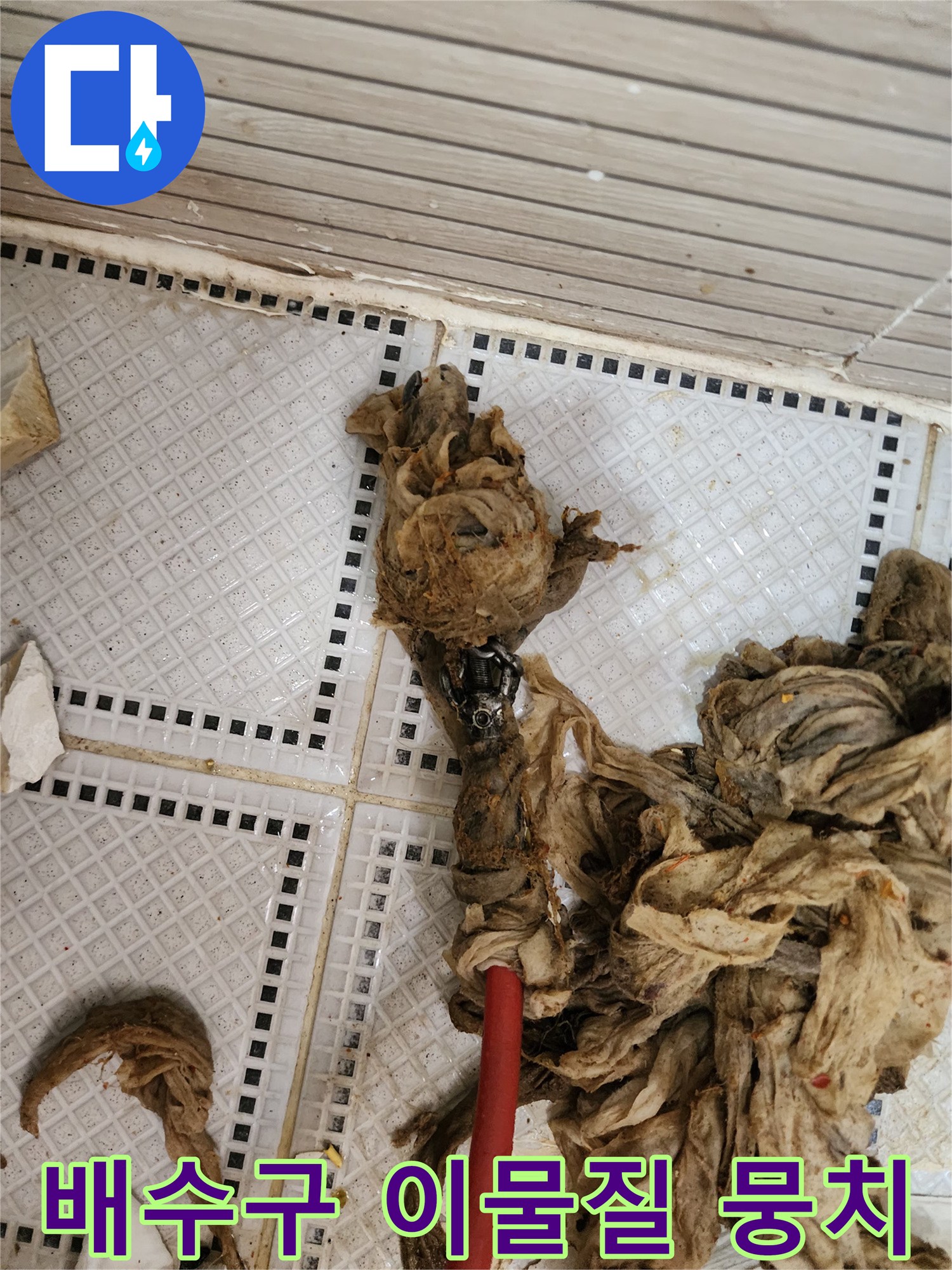 화장실 배수구에서 인양된 머리카락과 섬유 찌꺼기 덩어리