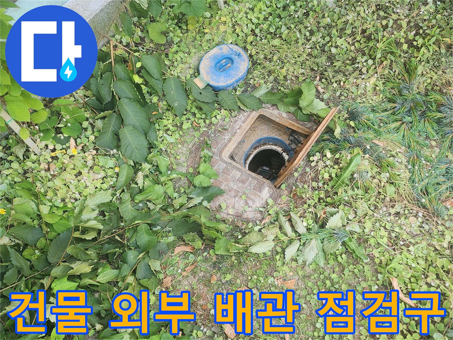수원 권선구 건물 외부의 배관 점검구와 주변 풀숲 모습입니다.