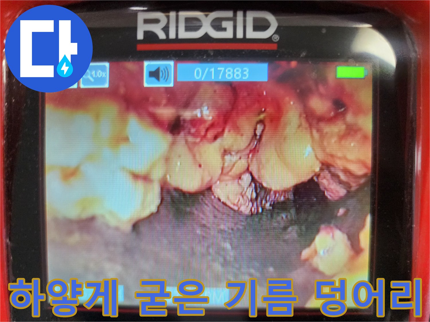 싱크대 배관 내부에 가득 차 있는 하얀색 유지방 슬러지 덩어리들
