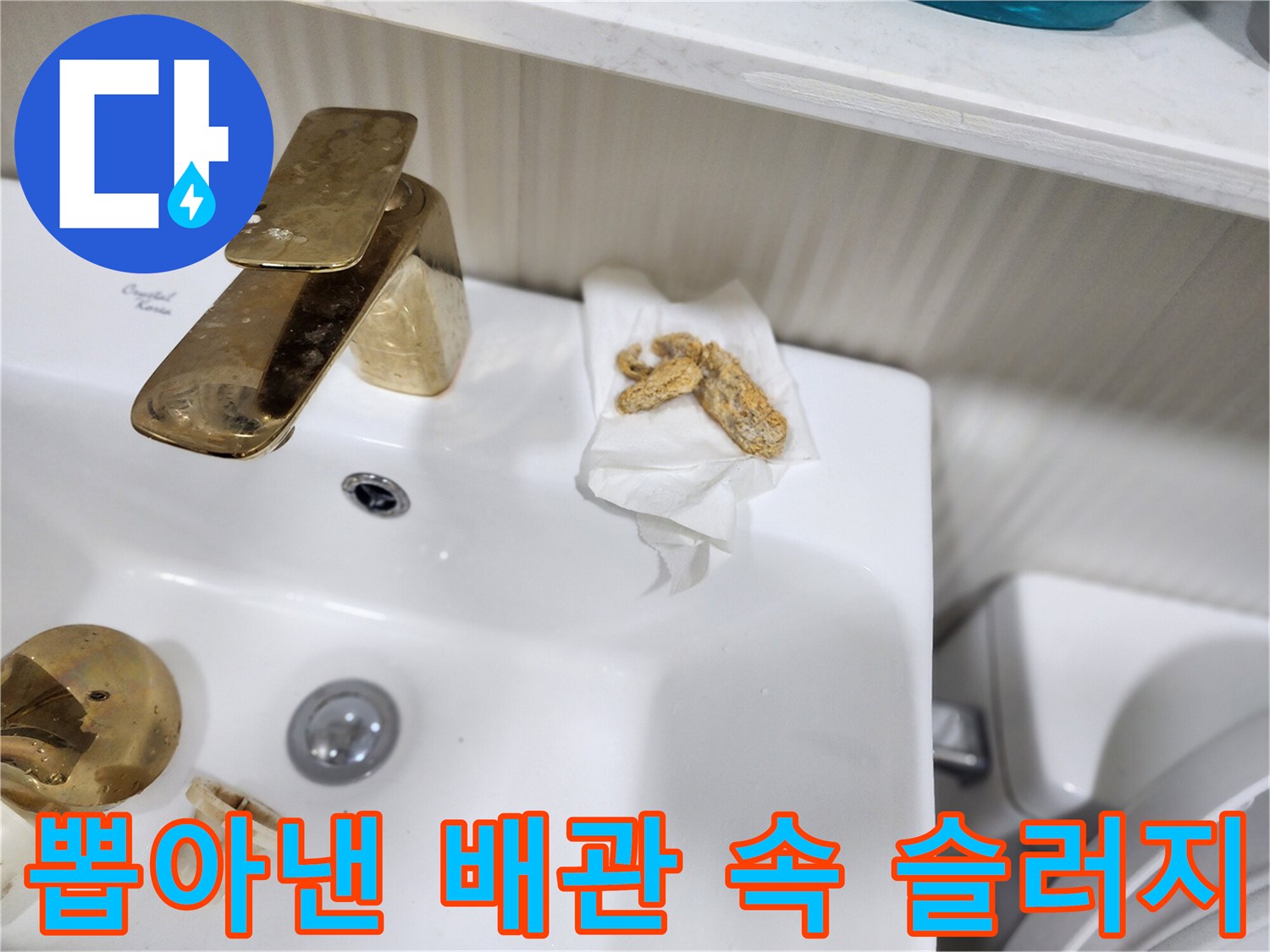 배수구 막힘 해결을 위해 추출한 오물 덩어리 이미지