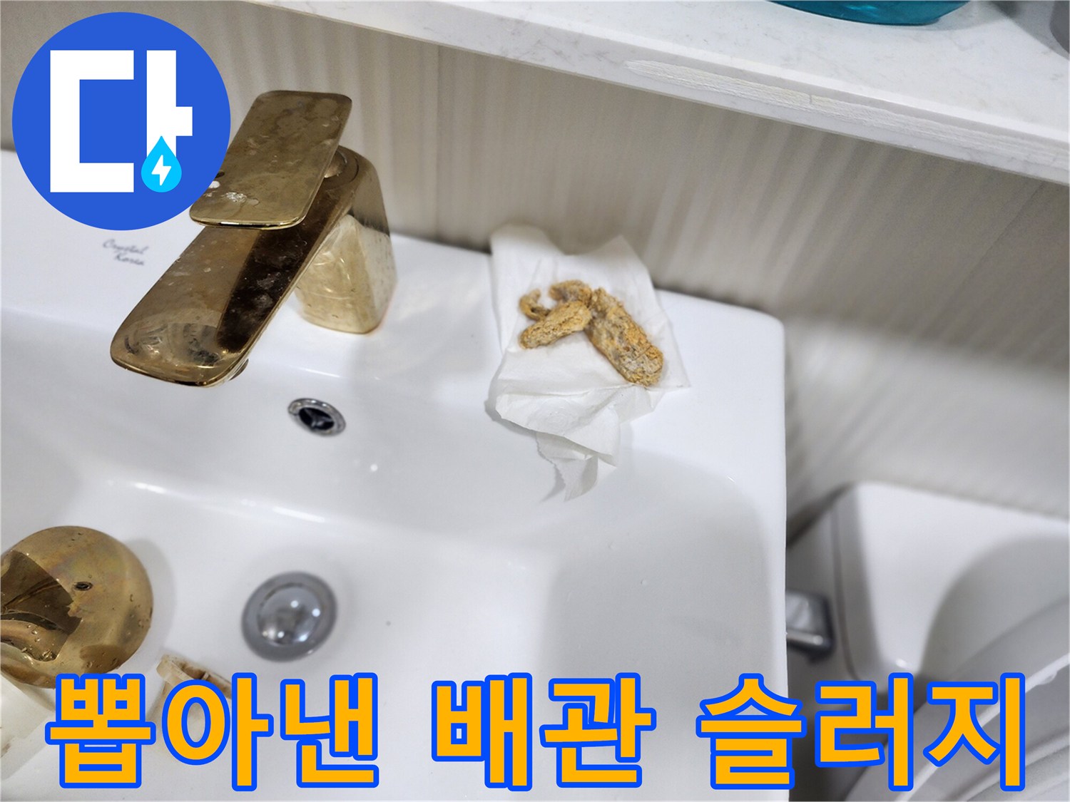 석션 작업 후 티슈 위에 놓인 배관 내 오염 덩어리